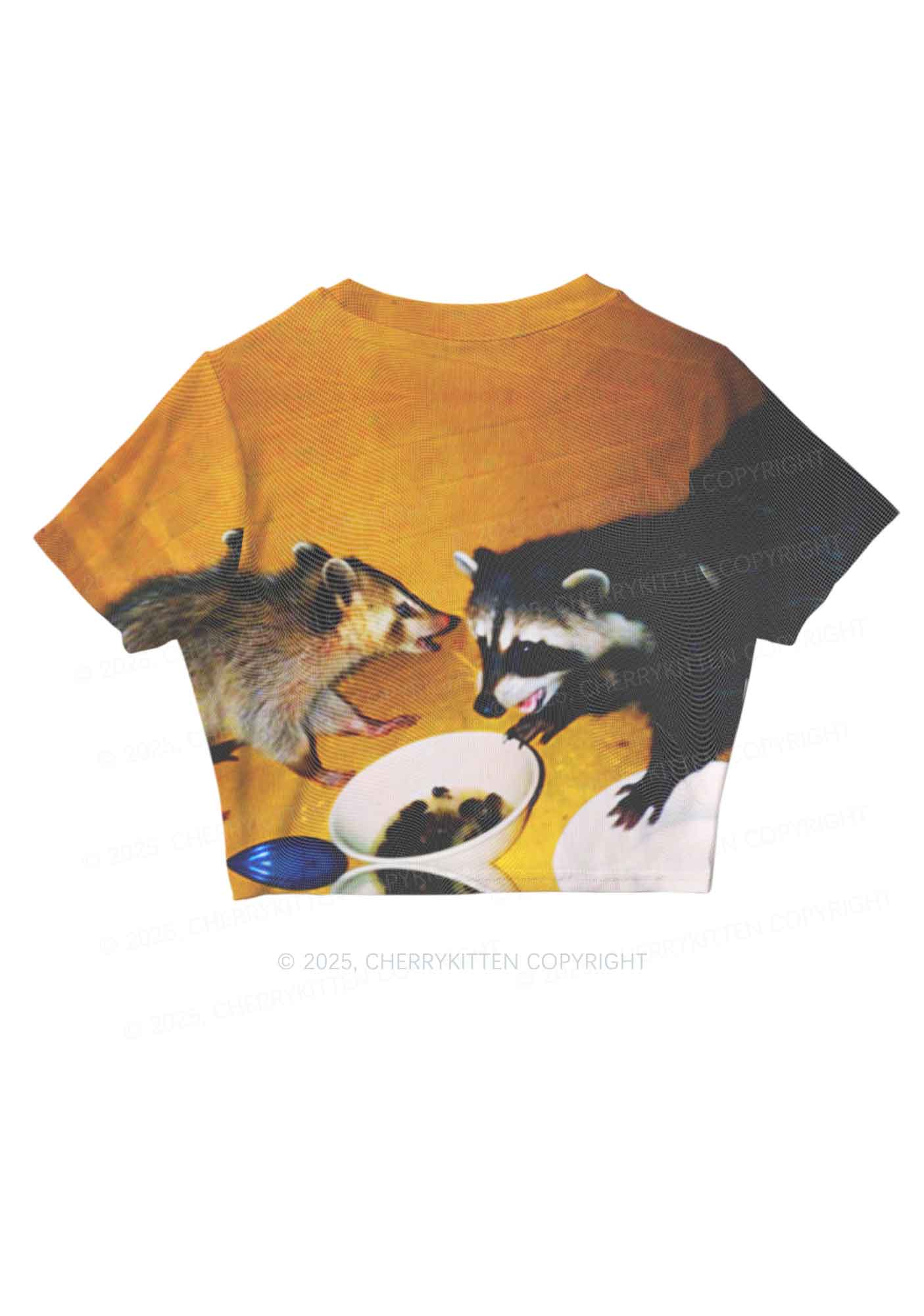 Raccoon Meal Y2K Mesh Crop Top Cherrykitten - Image 3