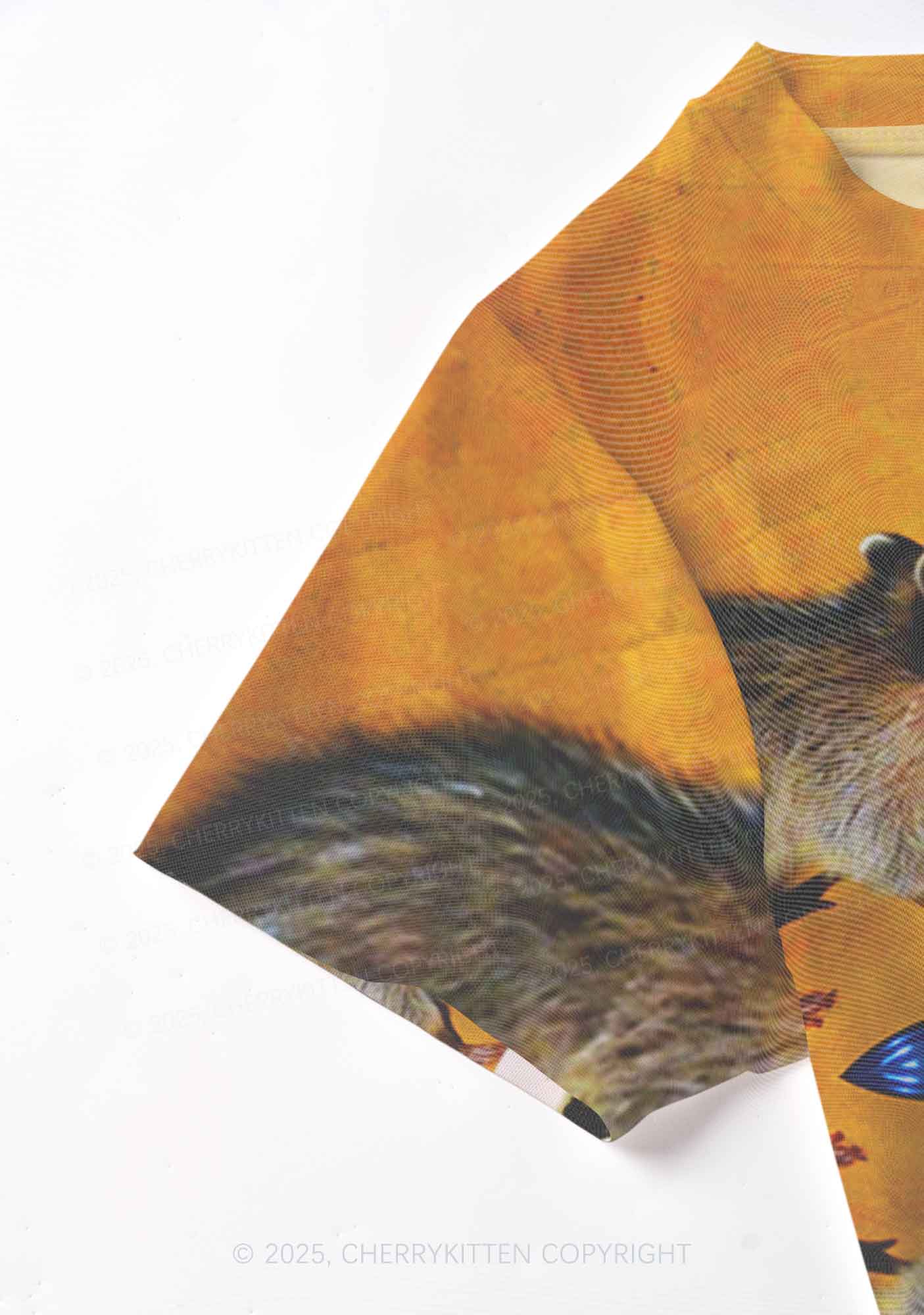 Raccoon Meal Y2K Mesh Crop Top Cherrykitten - Image 5