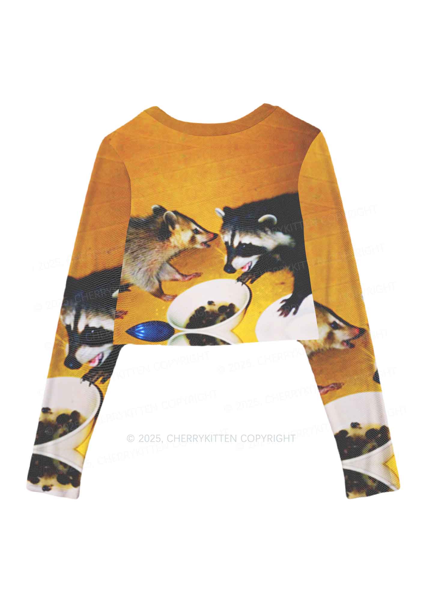 Raccoon Meal Y2K Mesh Long Sleeve Crop Top Cherrykitten - Image 3