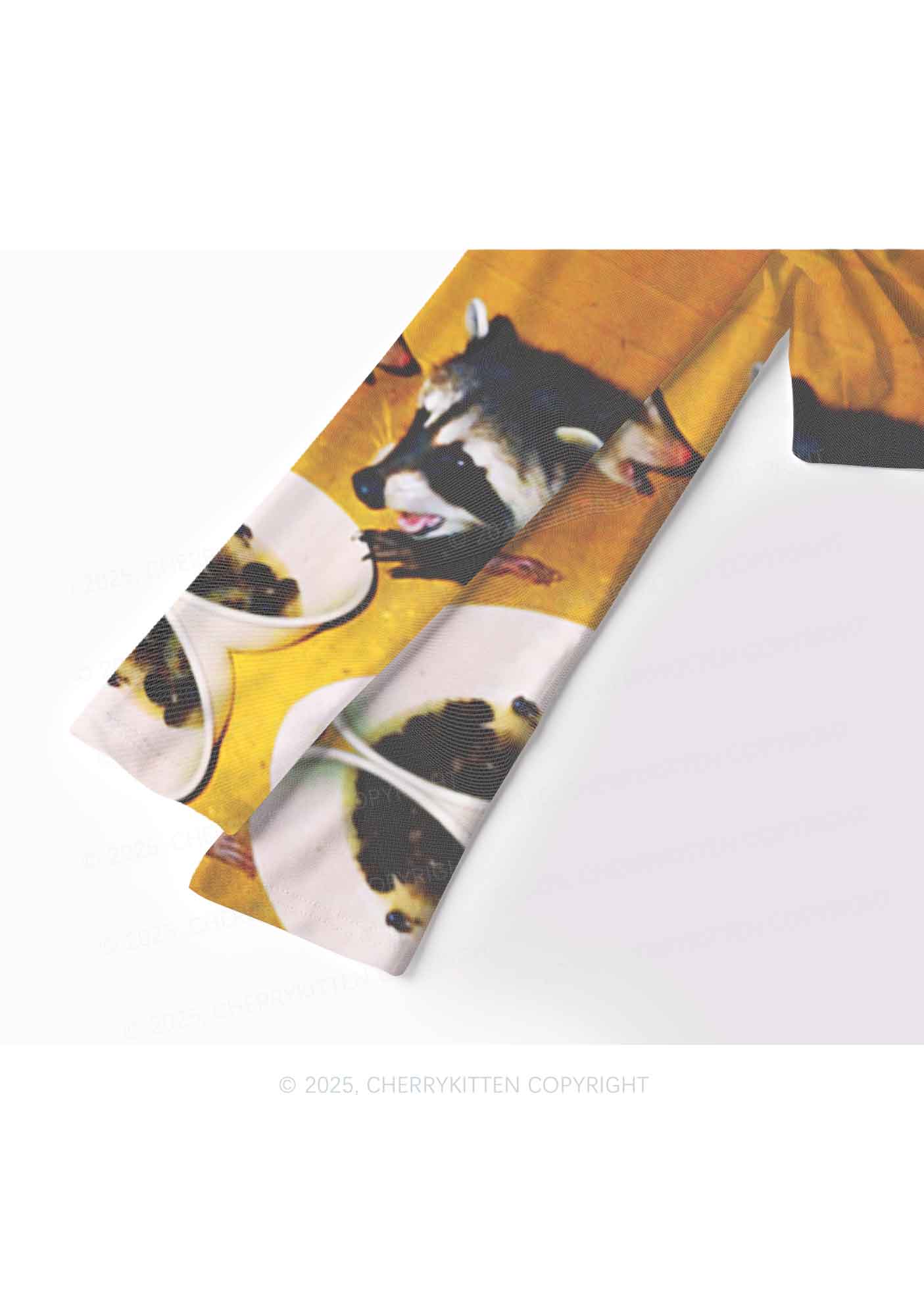 Raccoon Meal Y2K Mesh Long Sleeve Crop Top Cherrykitten - Image 4