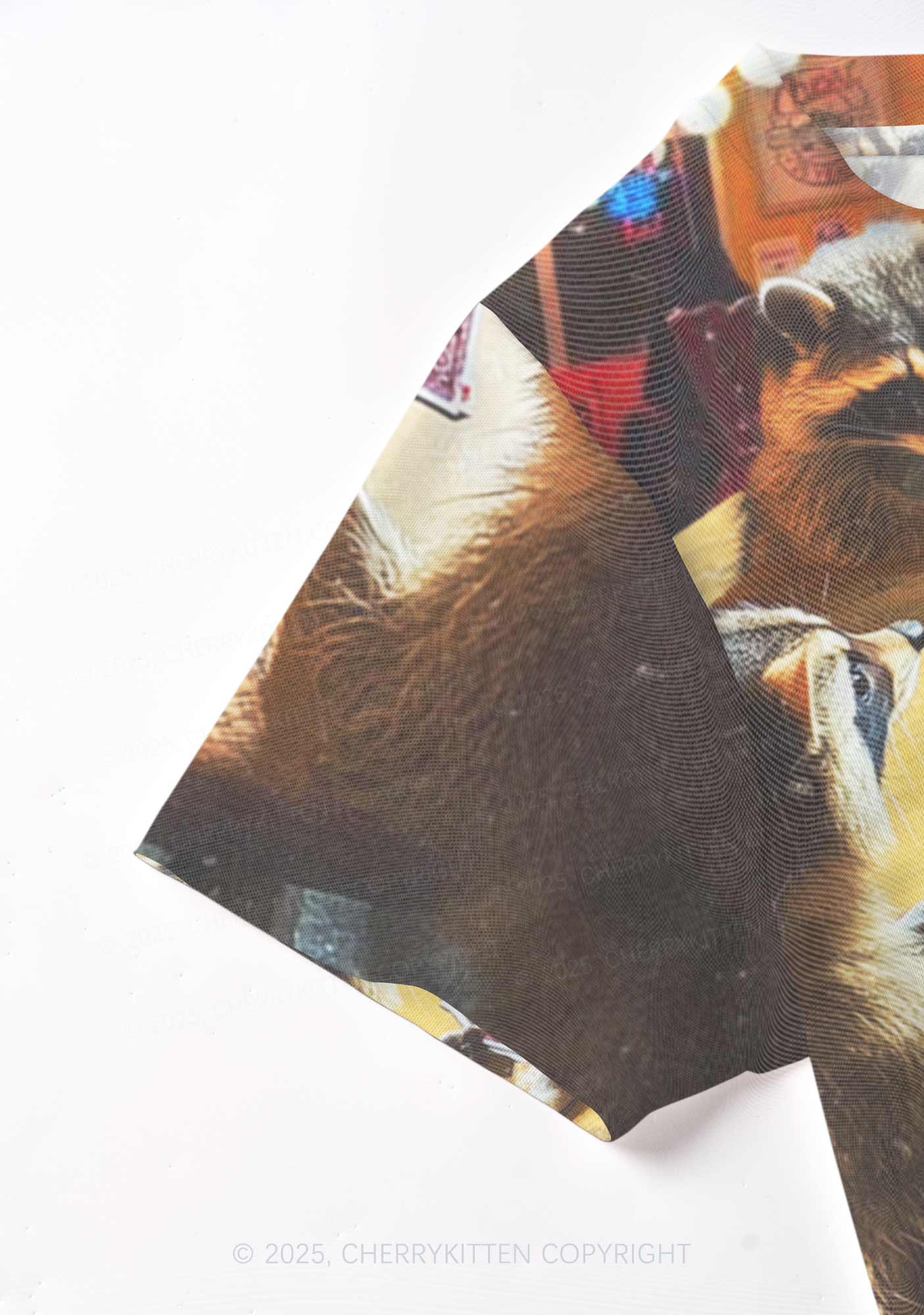 Raccoon Poker Y2K Mesh Crop Top Cherrykitten - Image 5