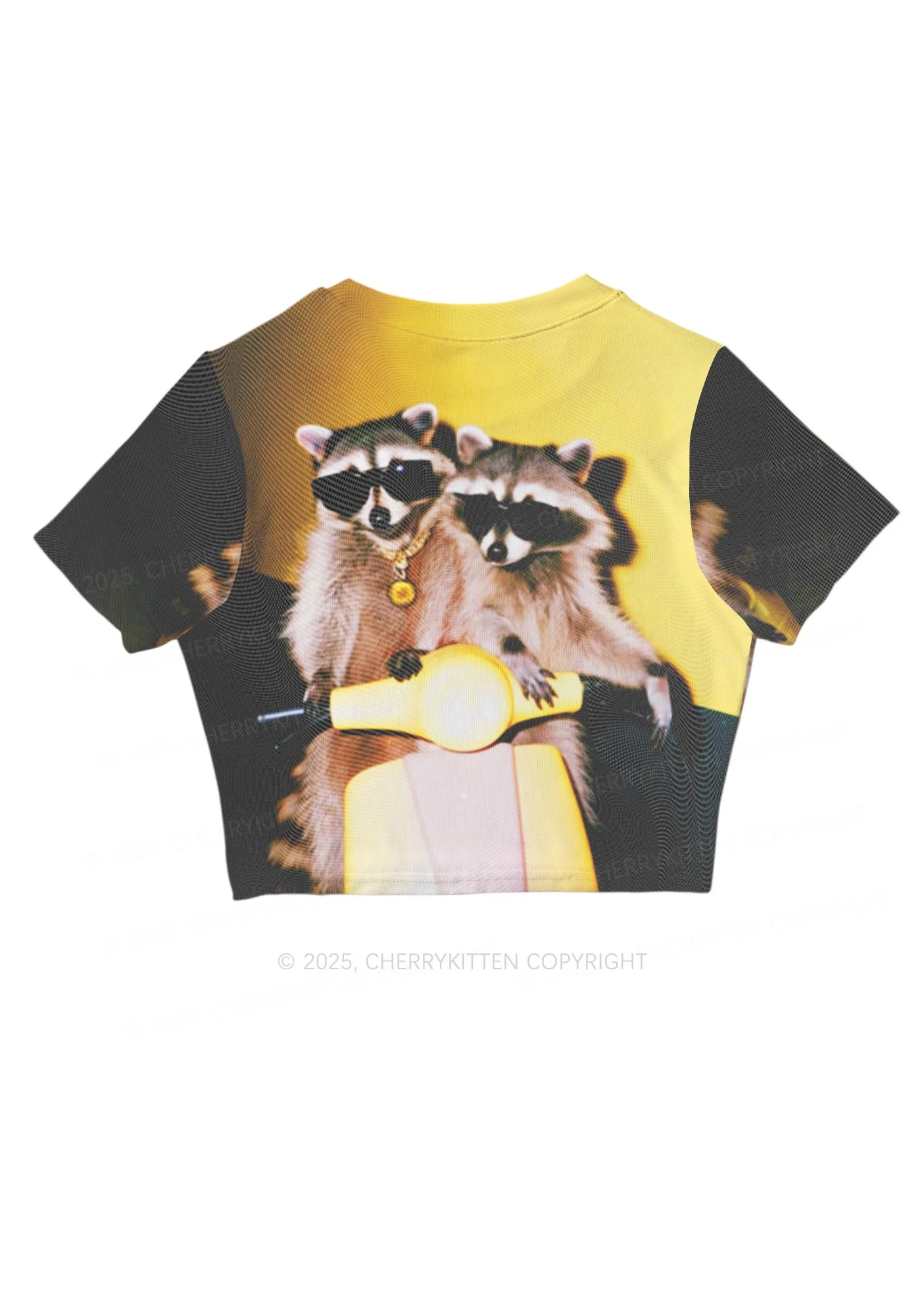Raccoon Riders Y2K Mesh Crop Top Cherrykitten - Image 3