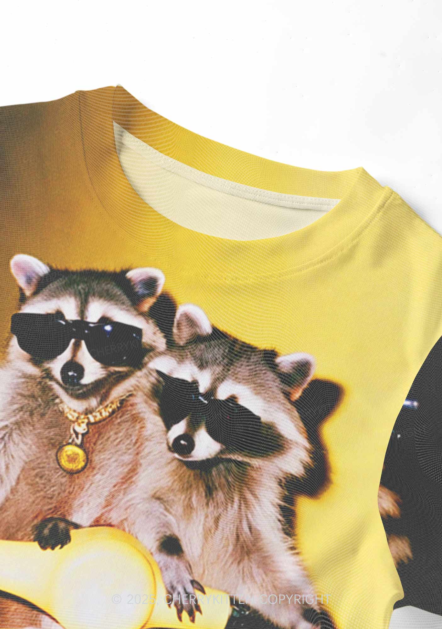 Raccoon Riders Y2K Mesh Crop Top Cherrykitten - Image 4