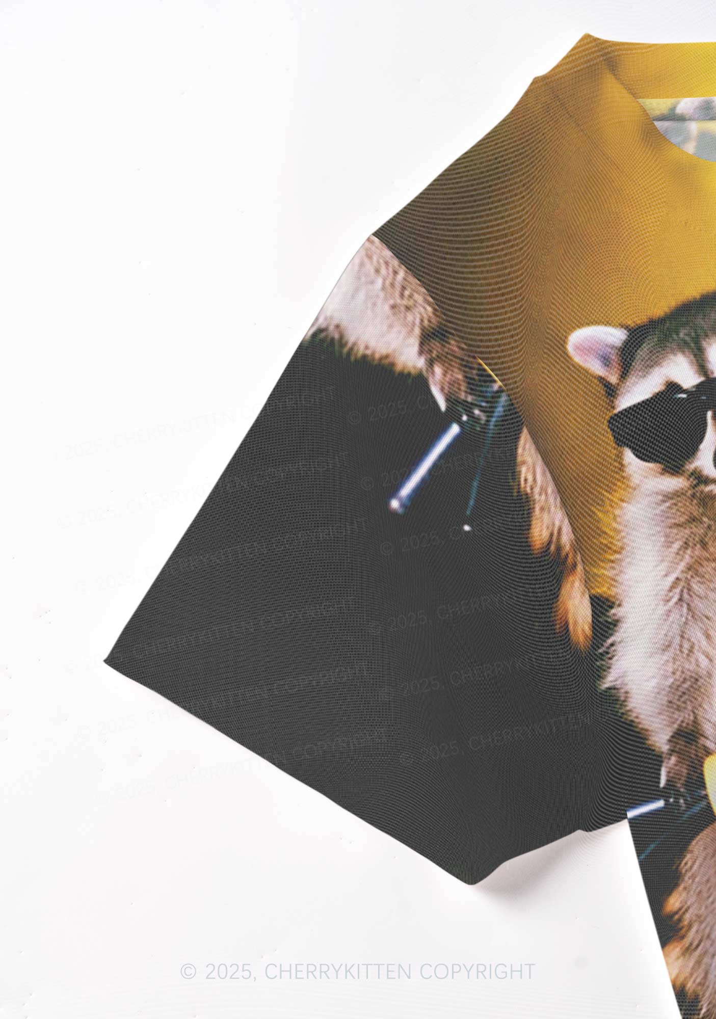 Raccoon Riders Y2K Mesh Crop Top Cherrykitten - Image 5