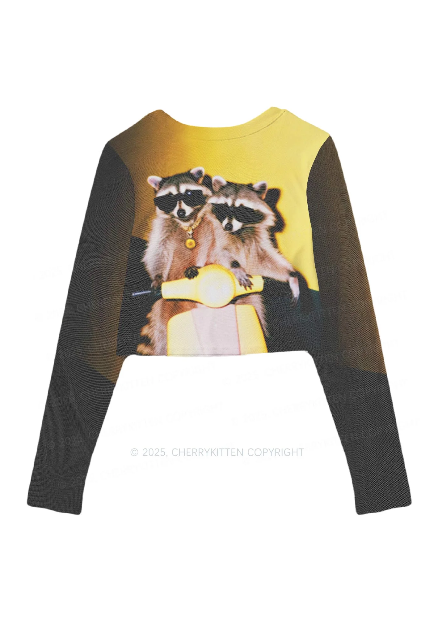Raccoon Riders Y2K Mesh Long Sleeve Crop Top Cherrykitten - Image 3