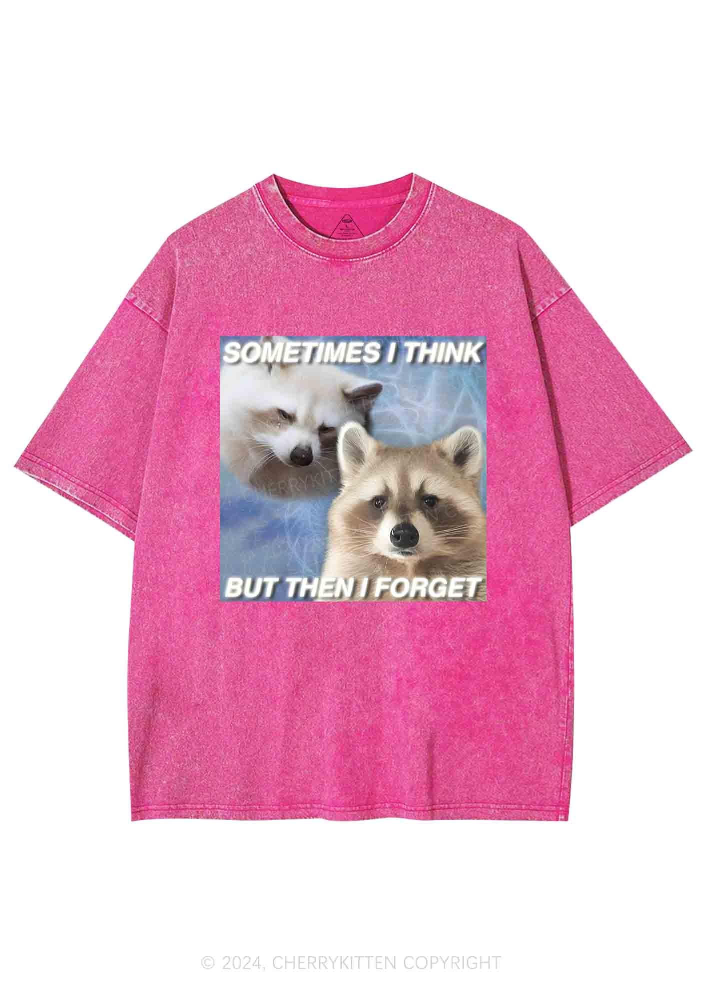 Raccoon Sometimes Think Y2K Washed Tee Cherrykitten - Image 5