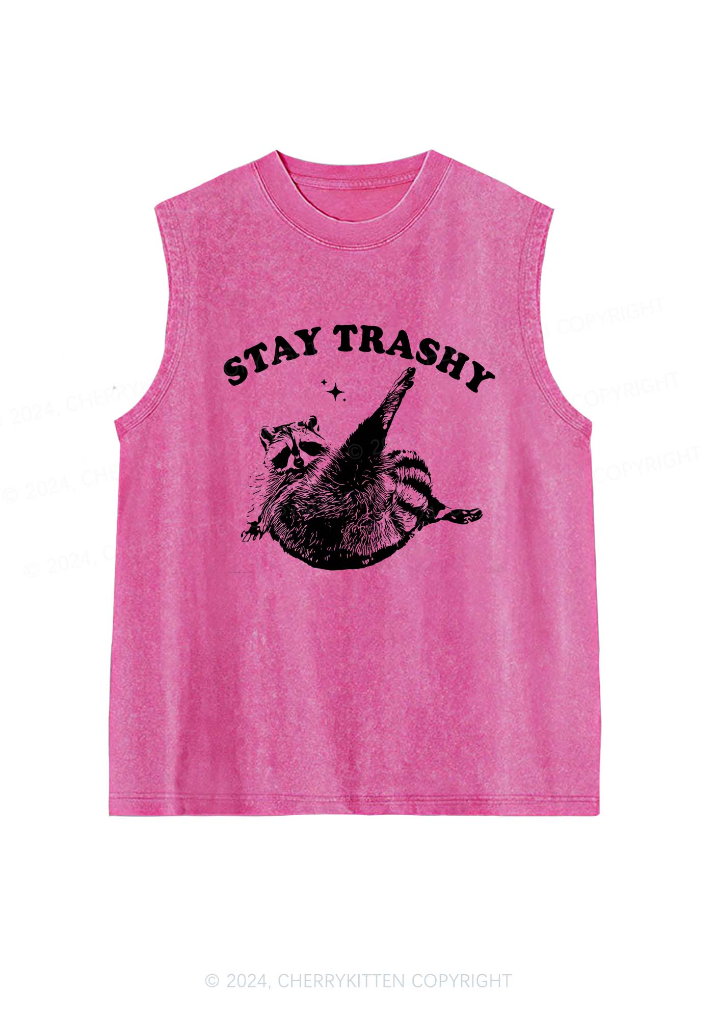 Raccoon Stay Trashy Y2K Washed Tank Cherrykitten - Image 3