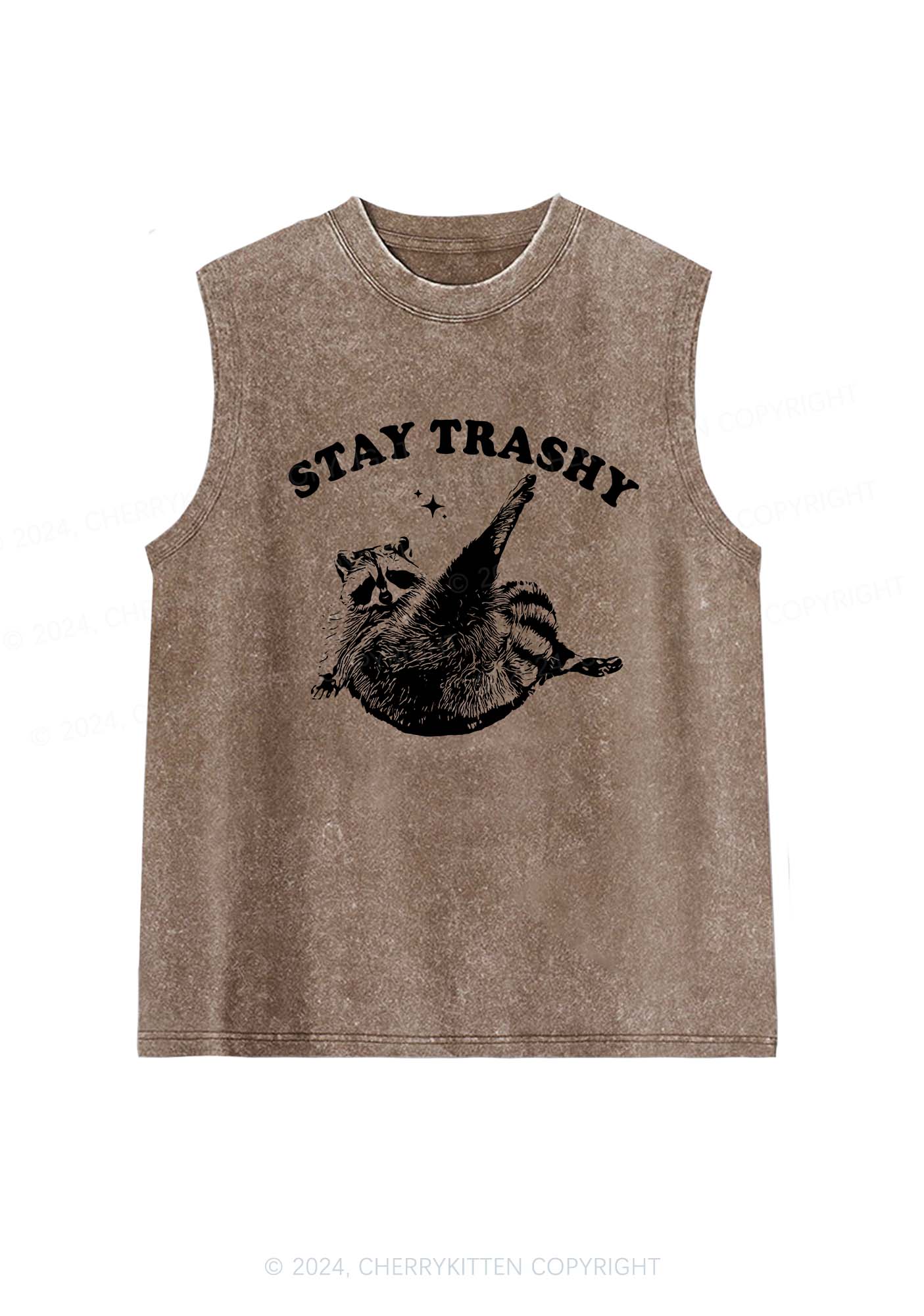 Raccoon Stay Trashy Y2K Washed Tank Cherrykitten - Image 6
