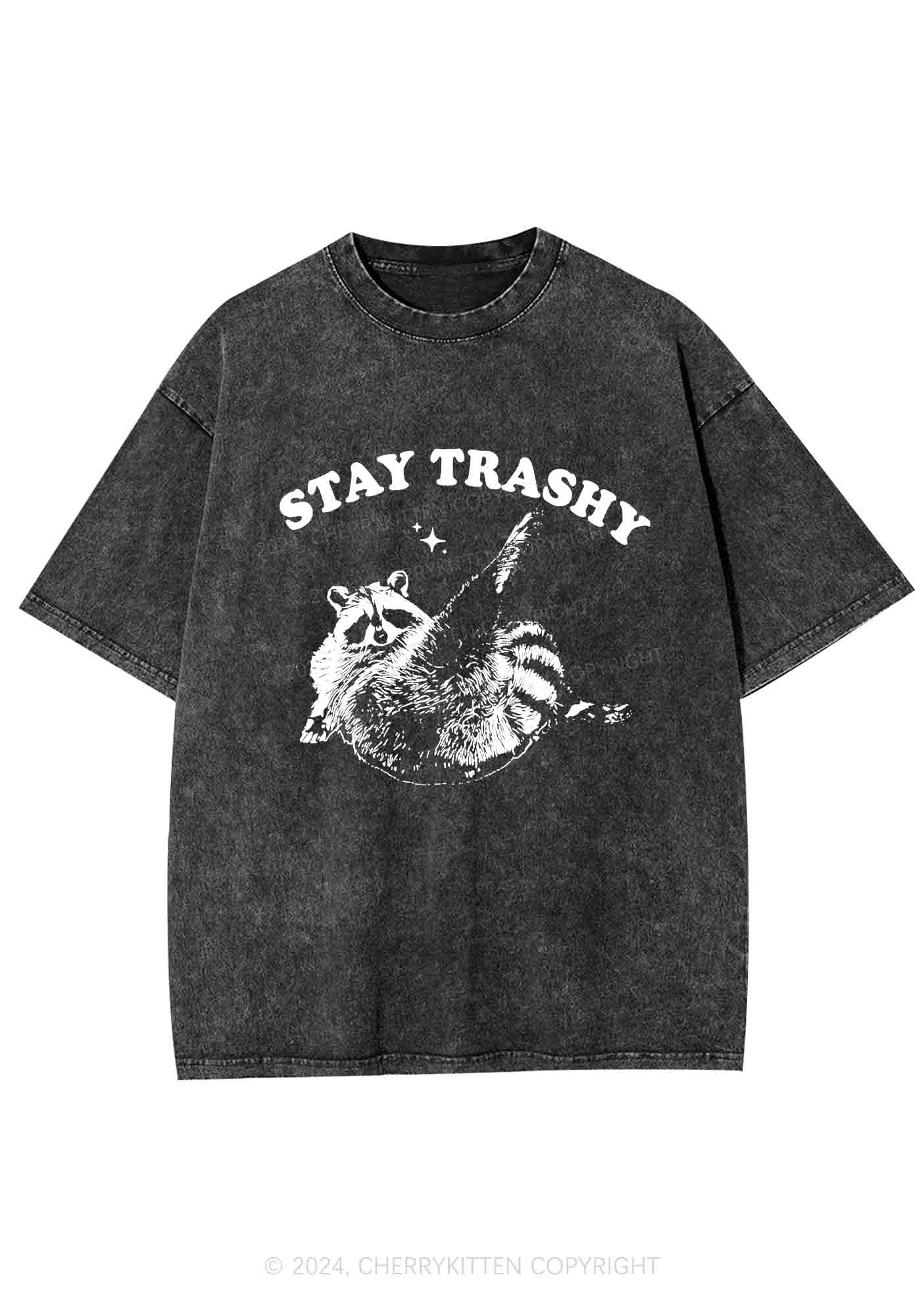 Raccoon Stay Trashy Y2K Washed Tee Cherrykitten - Image 3