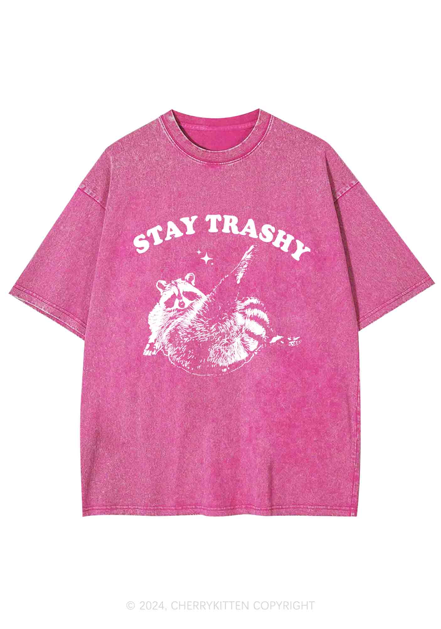 Raccoon Stay Trashy Y2K Washed Tee Cherrykitten - Image 4