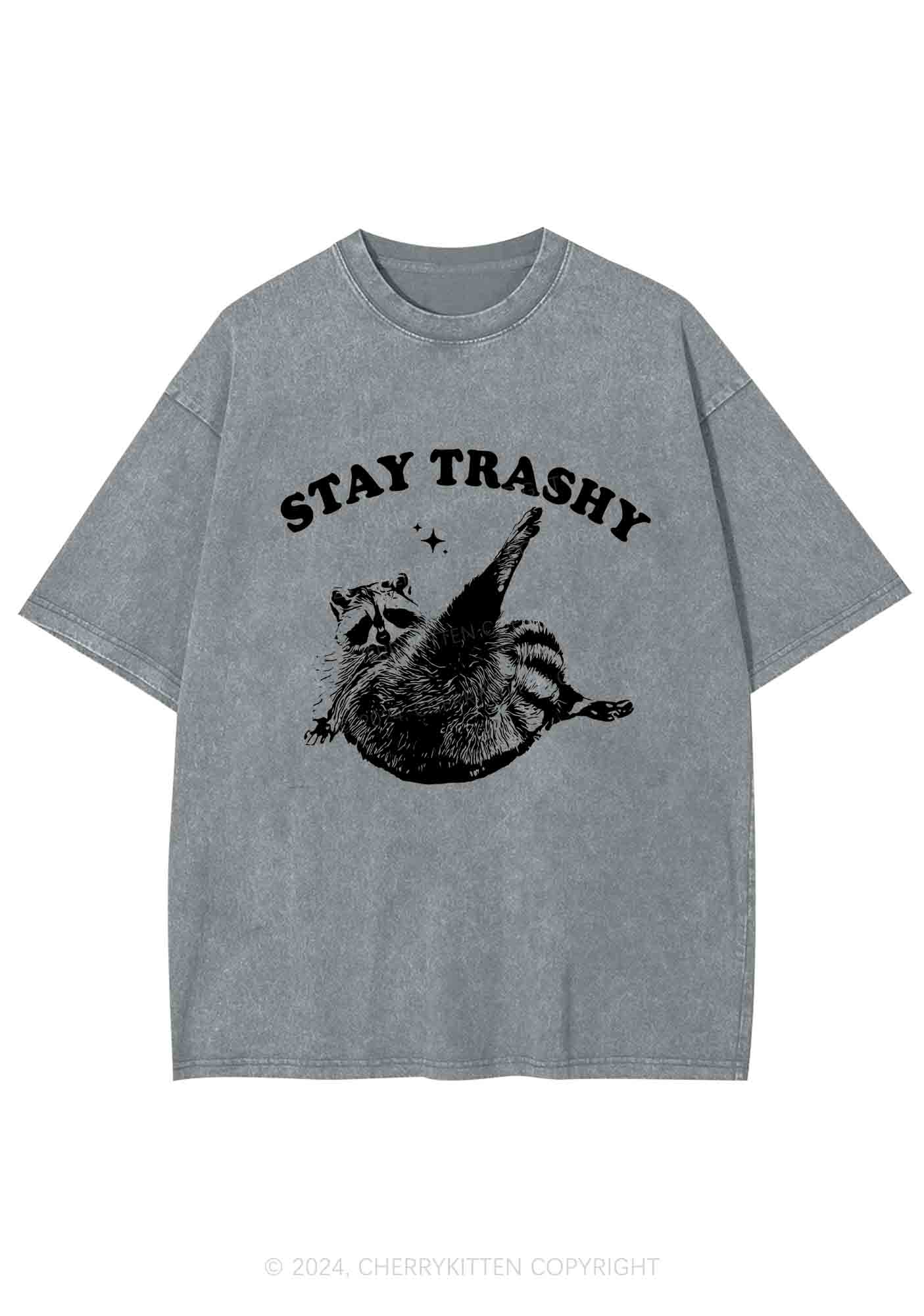 Raccoon Stay Trashy Y2K Washed Tee Cherrykitten - Image 5