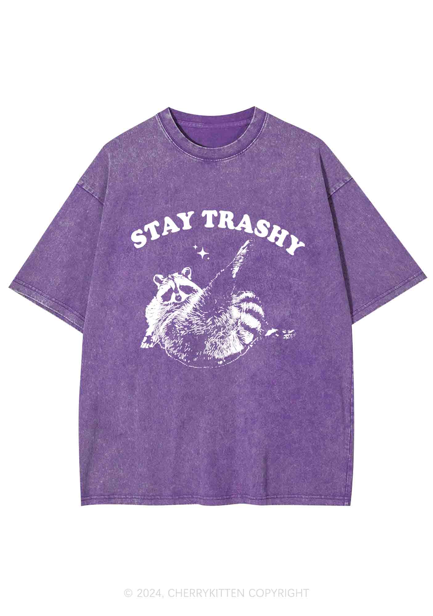 Raccoon Stay Trashy Y2K Washed Tee Cherrykitten - Image 6