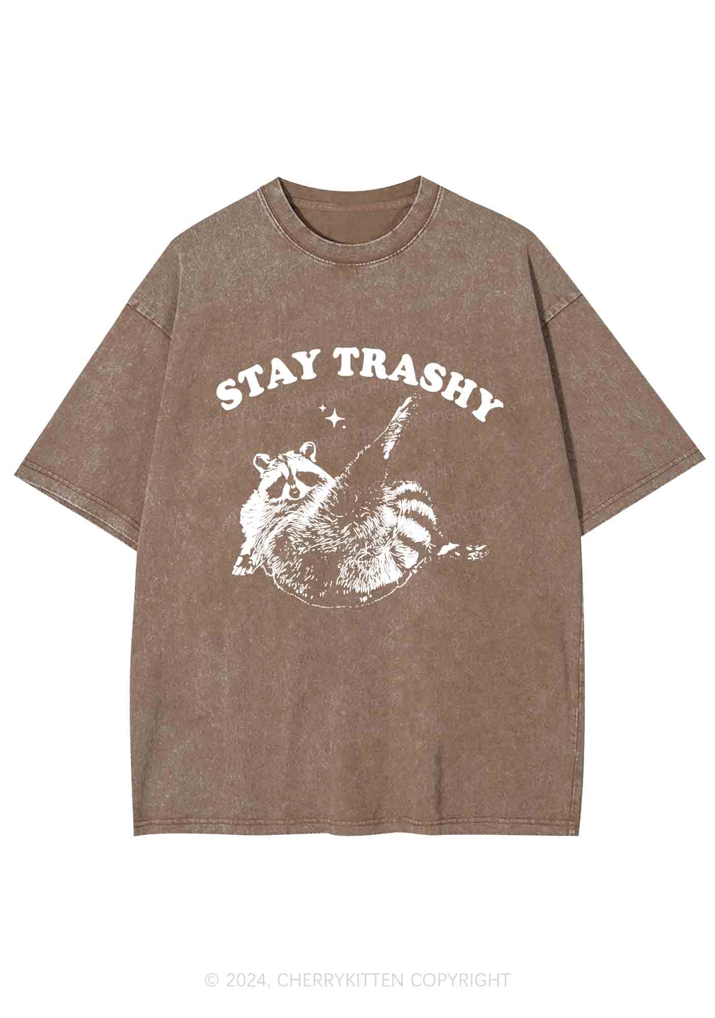 Raccoon Stay Trashy Y2K Washed Tee Cherrykitten - Image 7