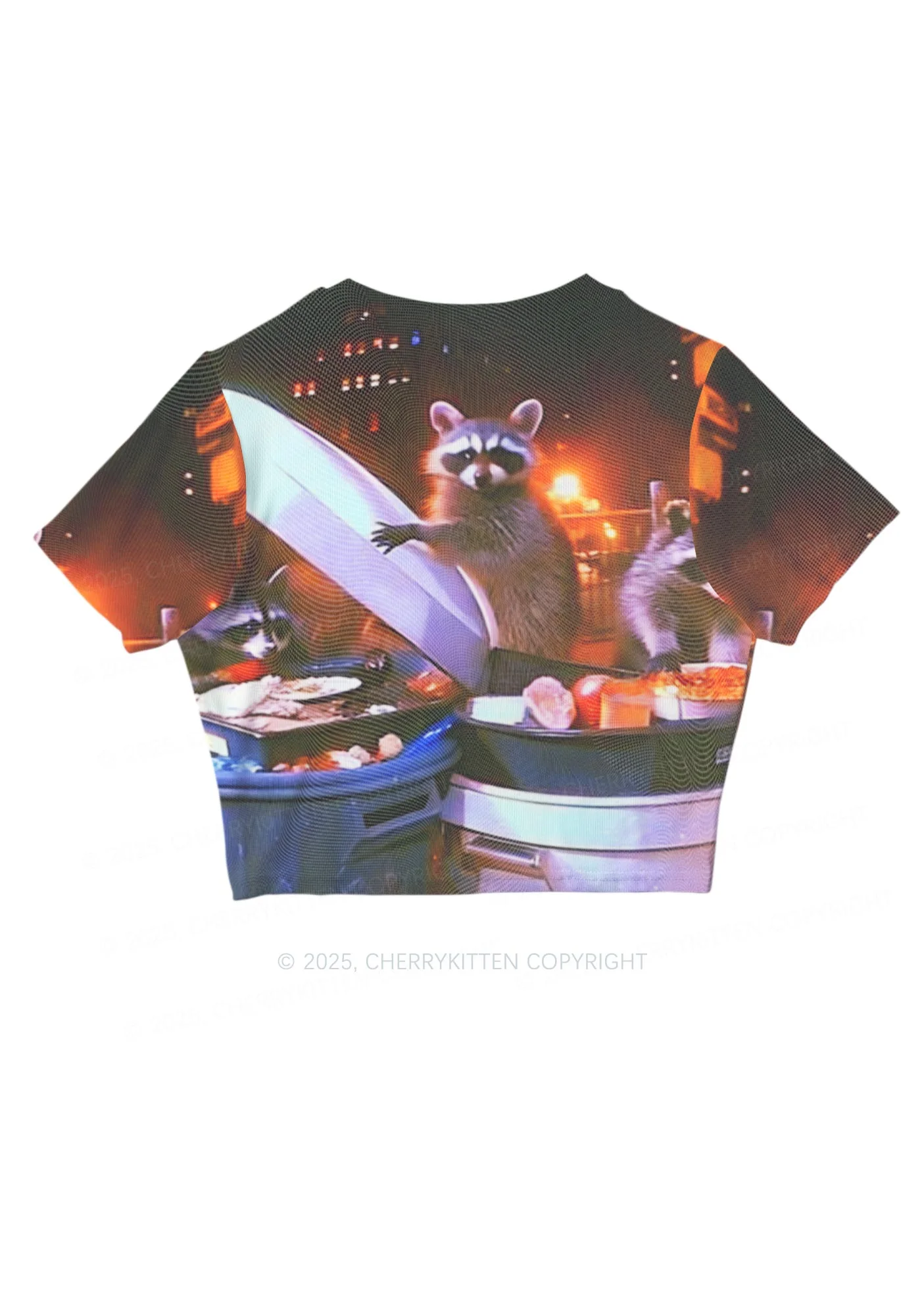 Raccoon Trash Party Y2K Mesh Crop Top Cherrykitten - Image 5