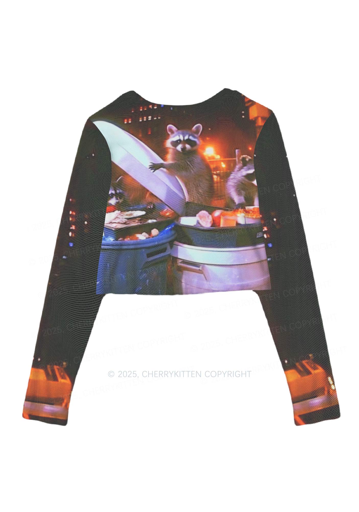 Raccoon Trash Party Y2K Mesh Long Sleeve Crop Top Cherrykitten - Image 3
