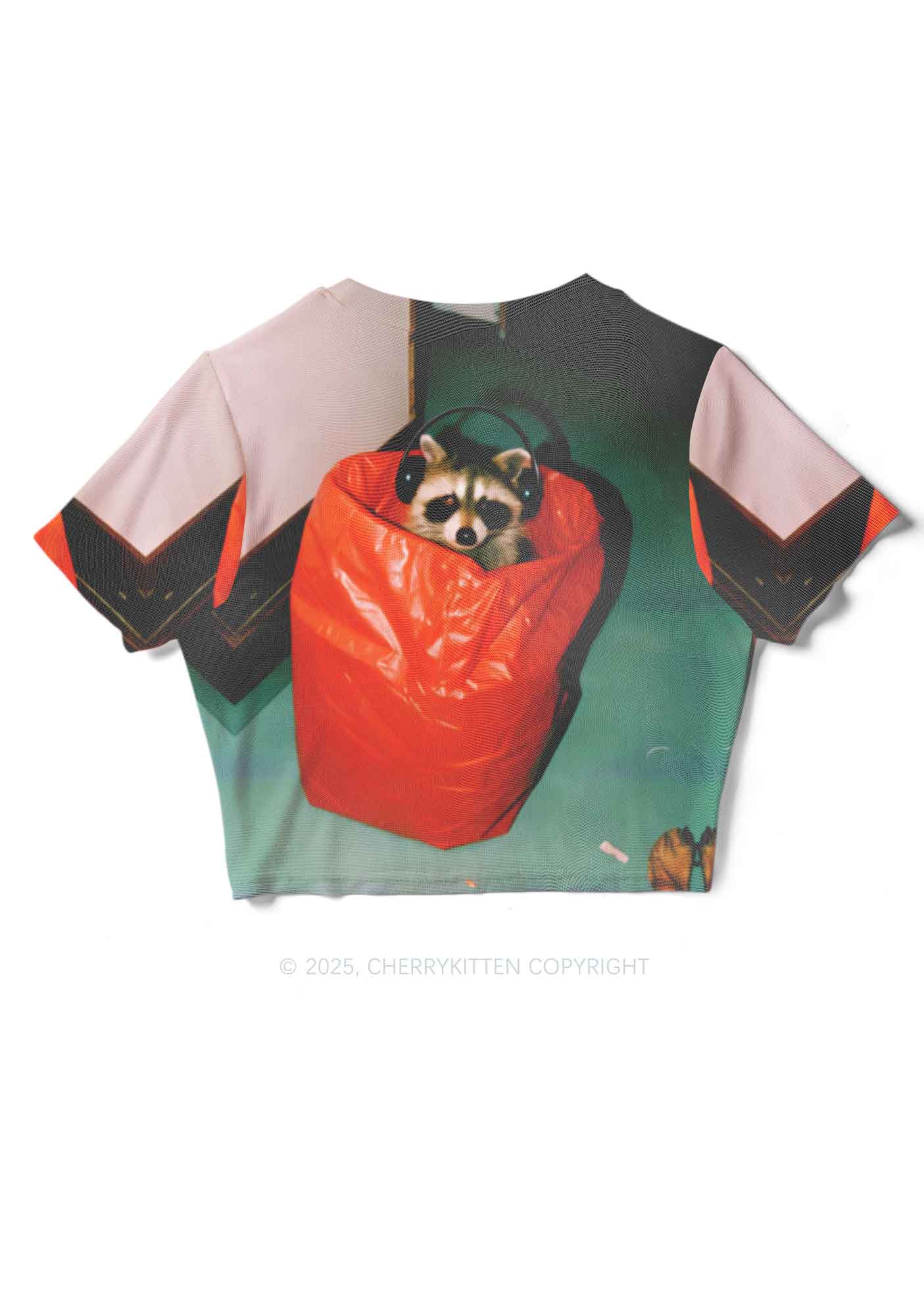 Raccoon With Headphones Y2K Mesh Crop Top Cherrykitten - Image 4