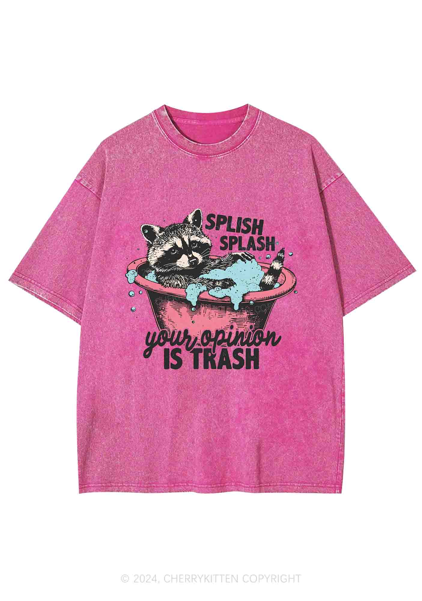 Raccoons Trash Opinion Y2K Washed Tee Cherrykitten - Image 3