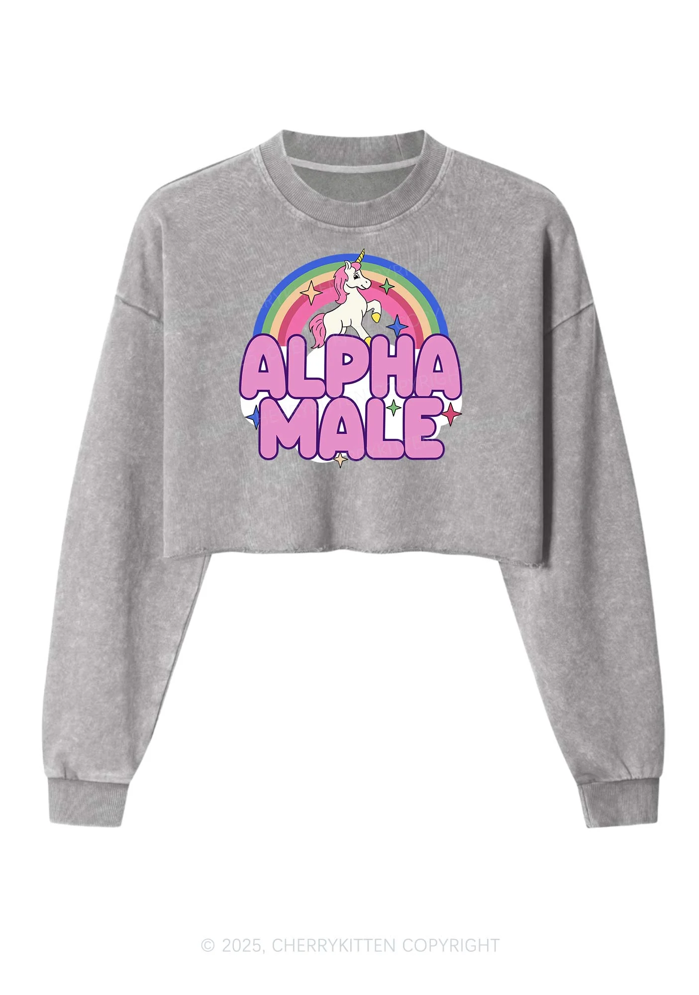 Rainbow Unicorn Alpha Male Y2K Crop Washed Sweatshirts Cherrykitten - Image 3