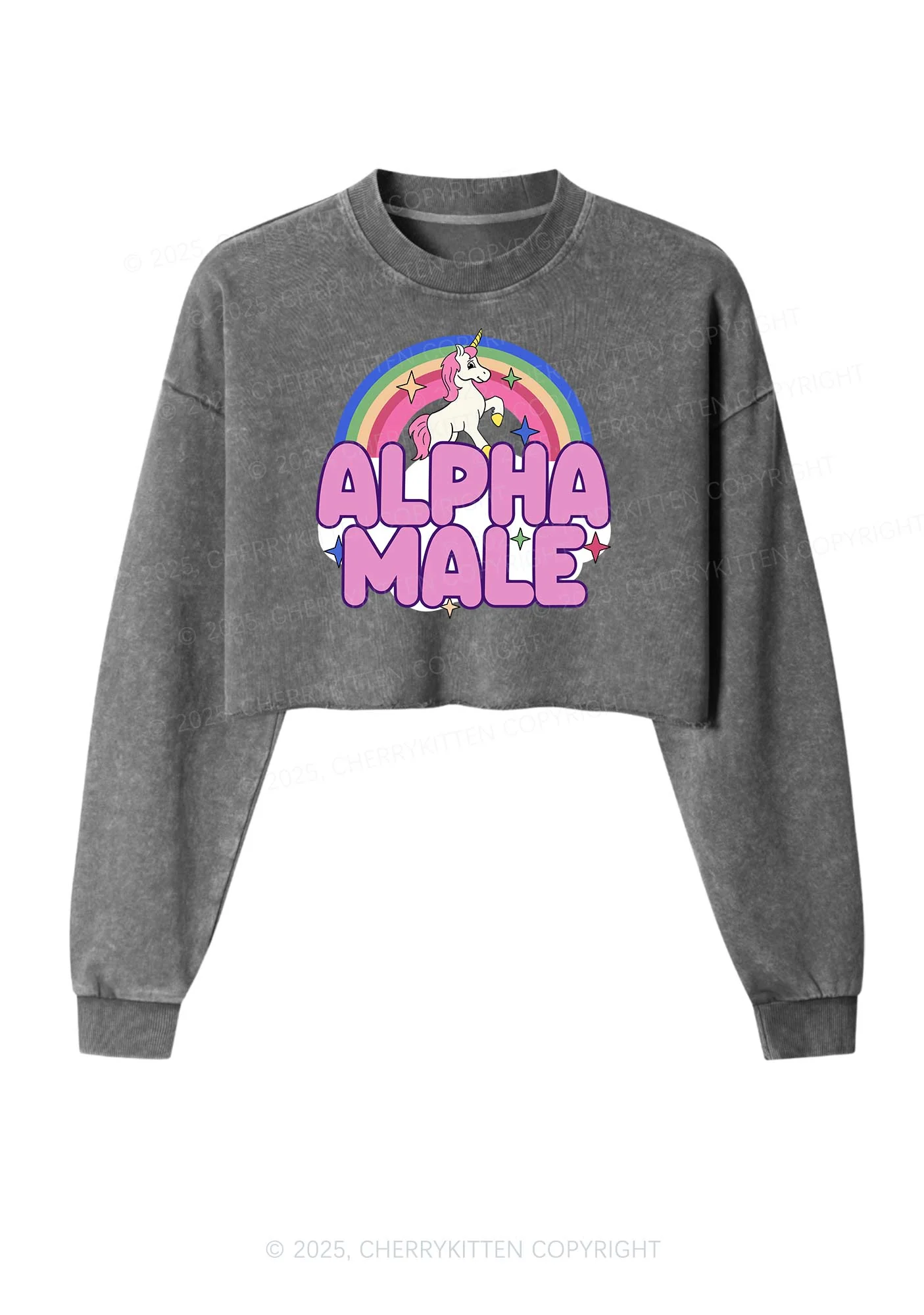 Rainbow Unicorn Alpha Male Y2K Crop Washed Sweatshirts Cherrykitten - Image 4