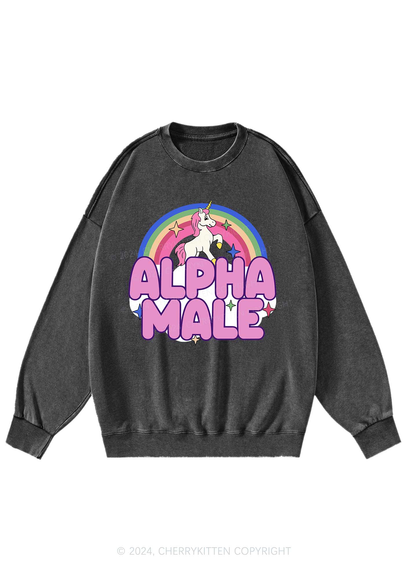 Rainbow Unicorn Alpha Male Y2K Washed Sweatshirts Cherrykitten - Image 3