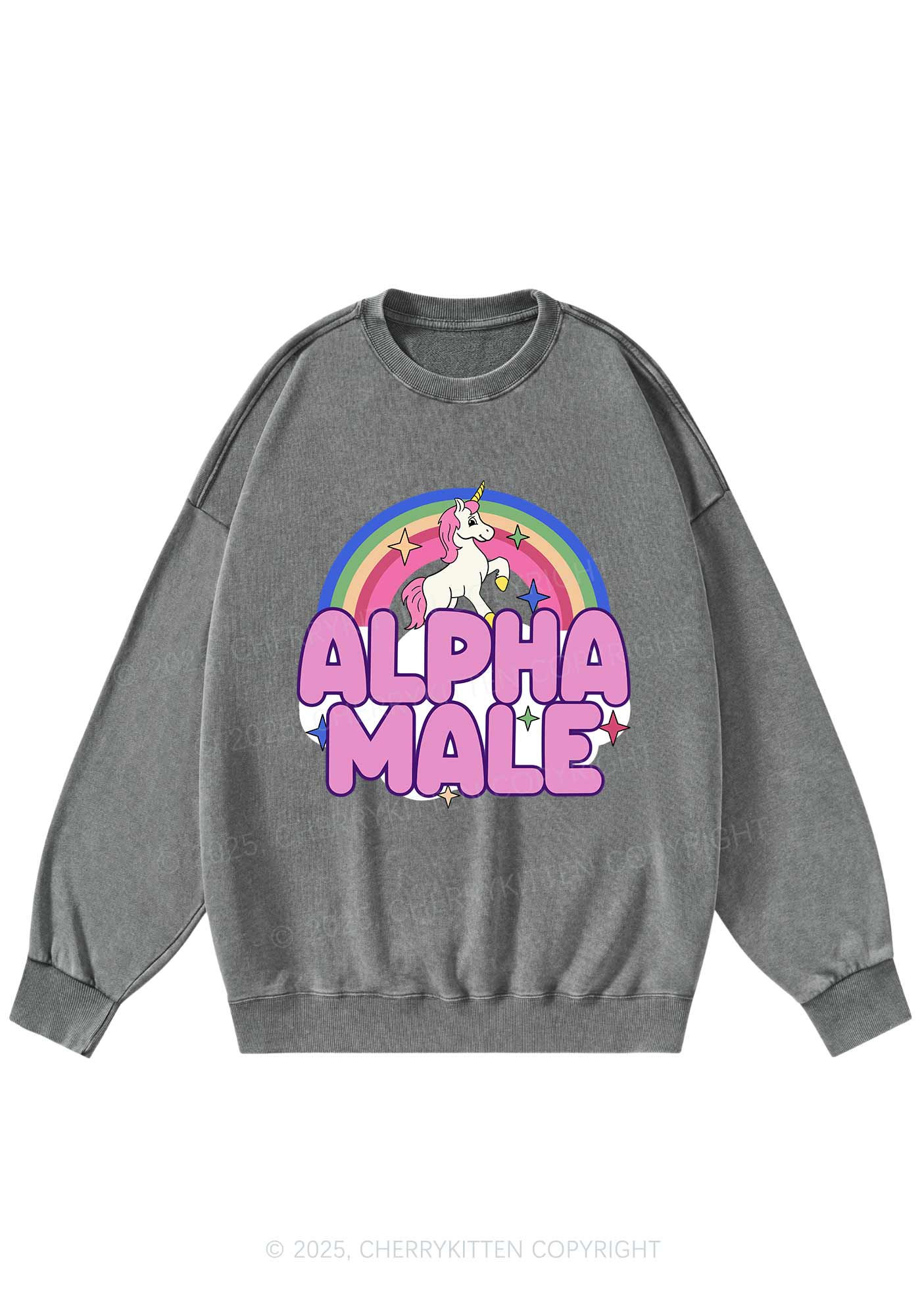 Rainbow Unicorn Alpha Male Y2K Washed Sweatshirts Cherrykitten - Image 6