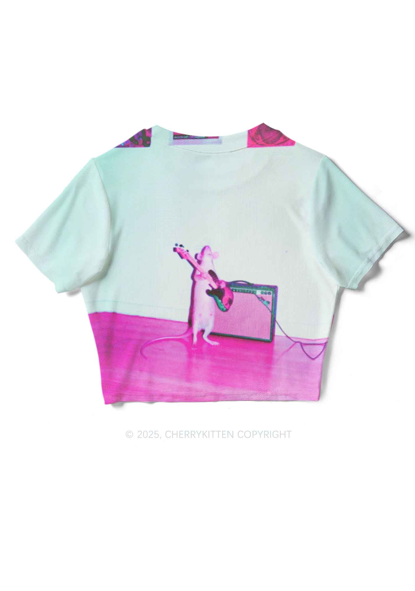 Rat Guitarist Y2K Mesh Crop Top Cherrykitten - Image 4