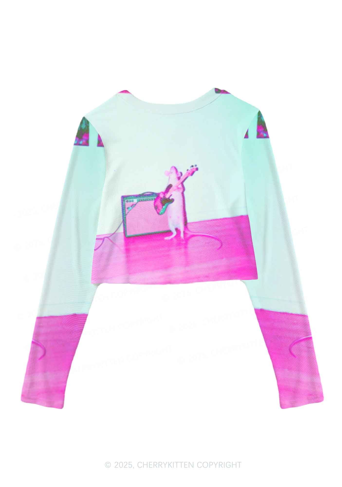 Rat Guitarist Y2K Mesh Long Sleeve Crop Top Cherrykitten - Image 2