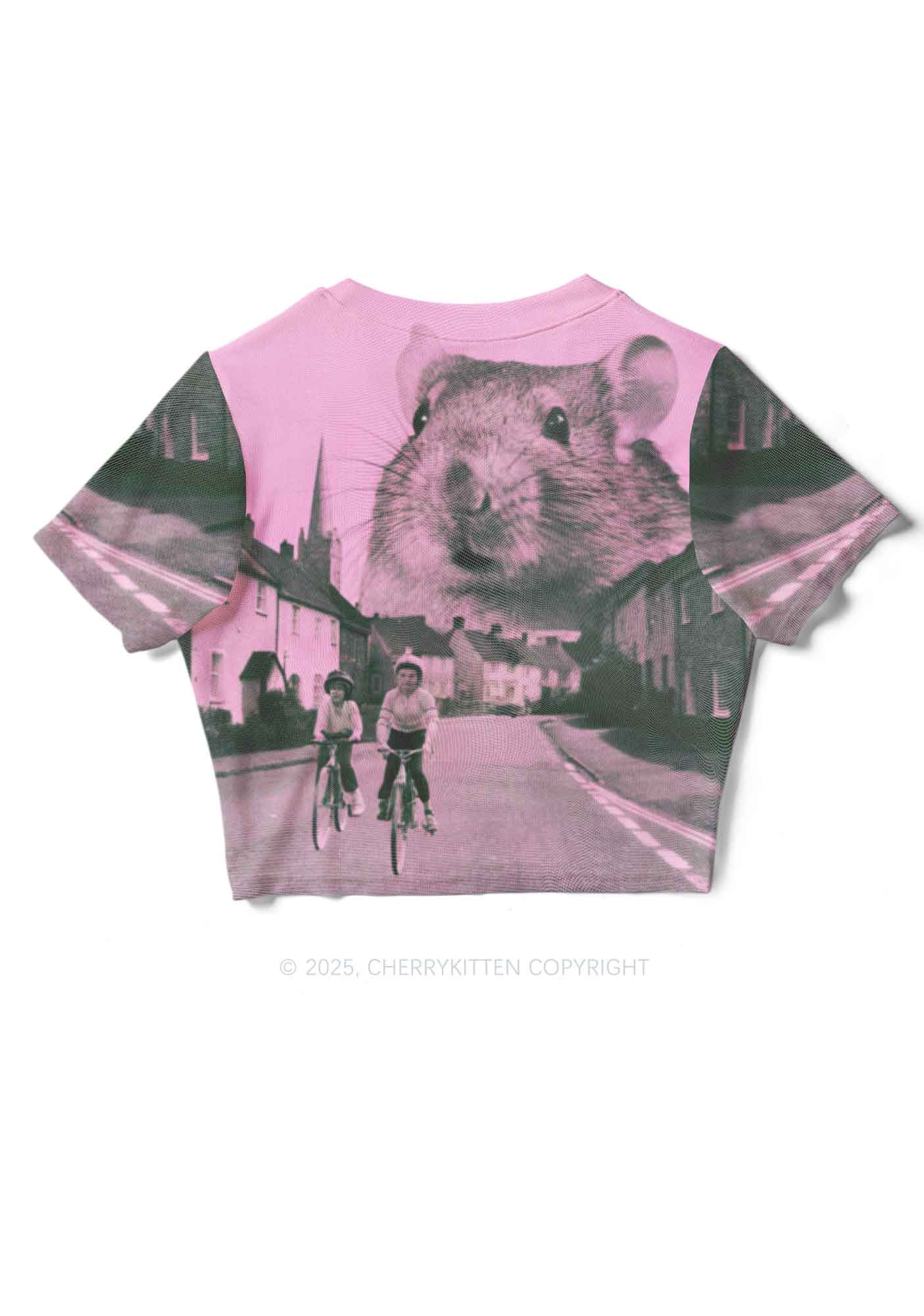 Rat Street Y2K Mesh Crop Top Cherrykitten - Image 2