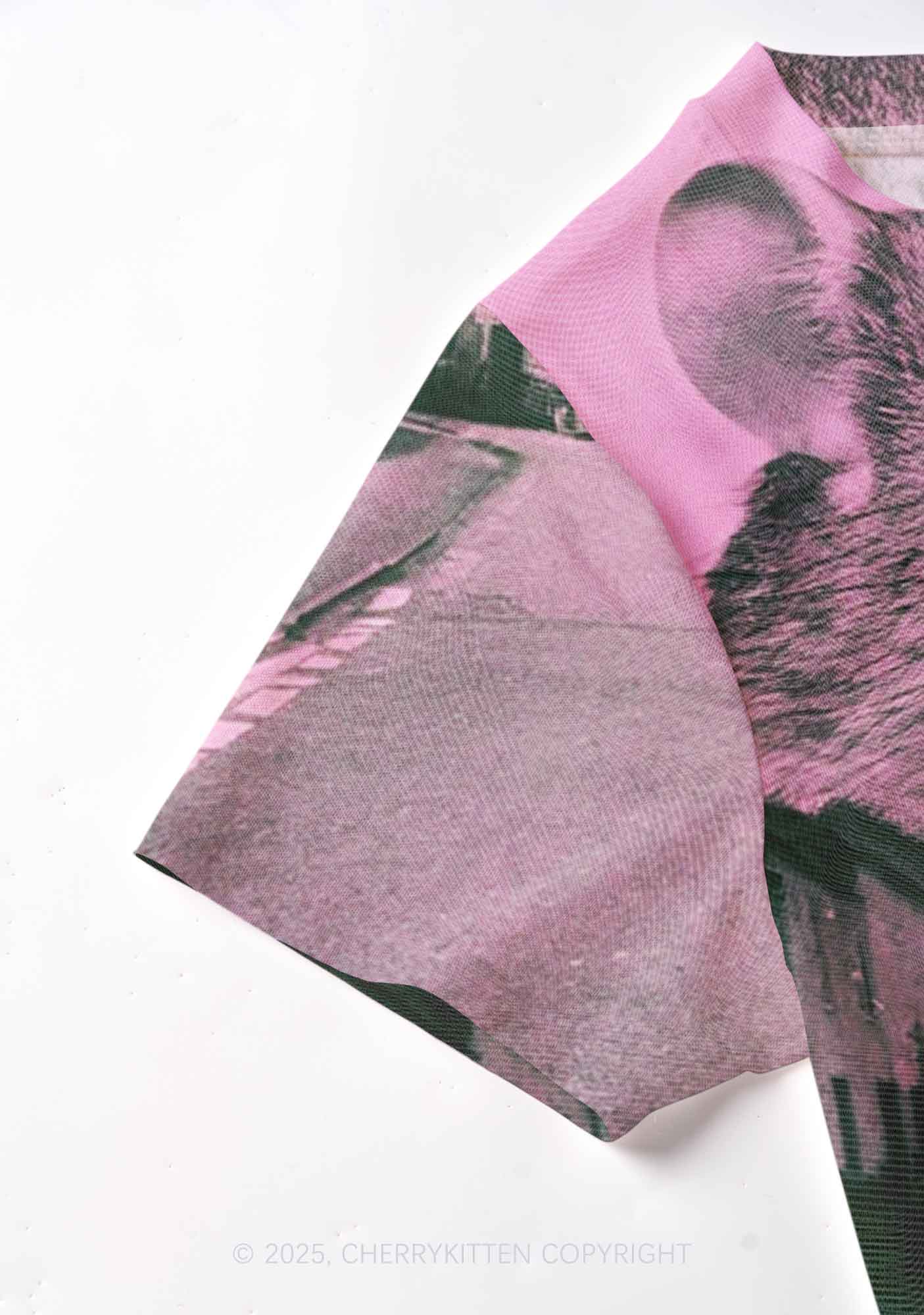 Rat Street Y2K Mesh Crop Top Cherrykitten - Image 3