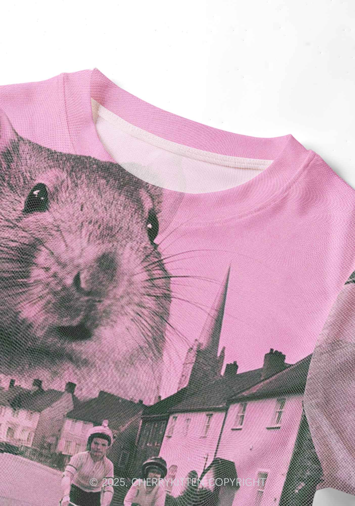 Rat Street Y2K Mesh Crop Top Cherrykitten - Image 4