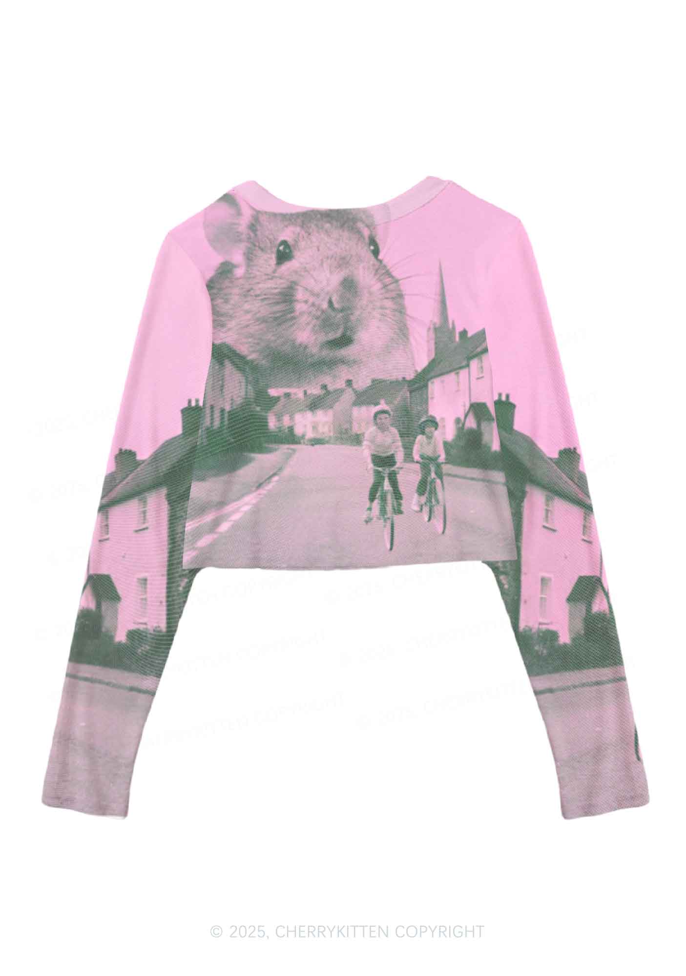 Rat Street Y2K Mesh Long Sleeve Crop Top Cherrykitten - Image 2