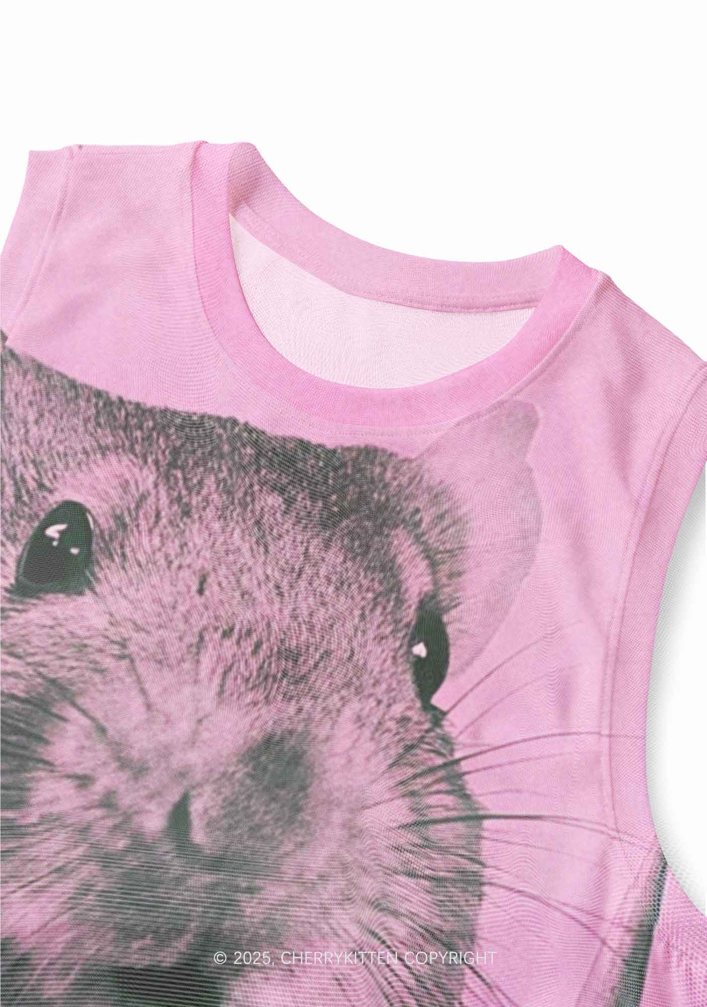 Rat Street Y2K Mesh Muscle Tank Cherrykitten - Image 3