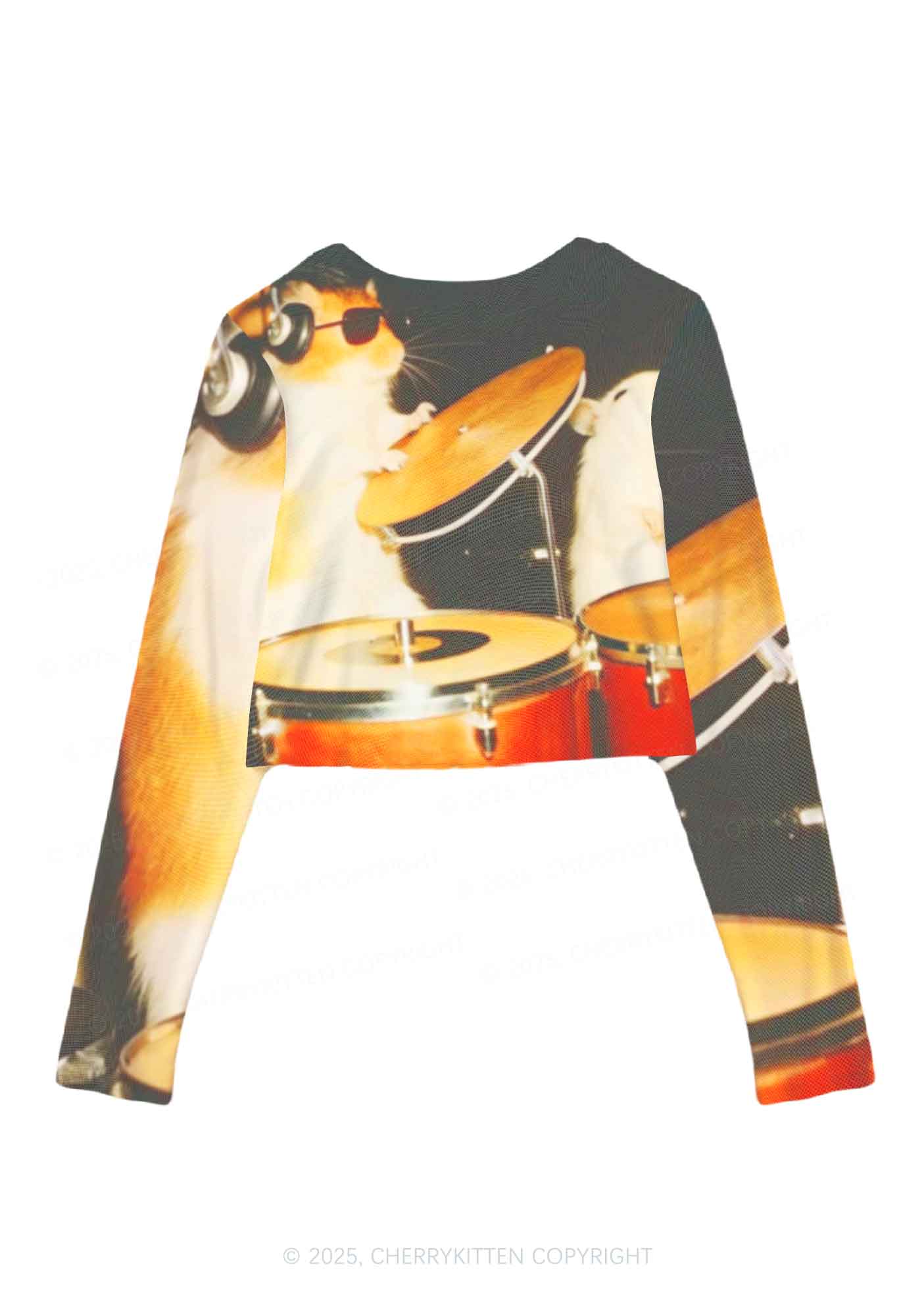 Rats Drummer Y2K Mesh Long Sleeve Crop Top Cherrykitten - Image 3