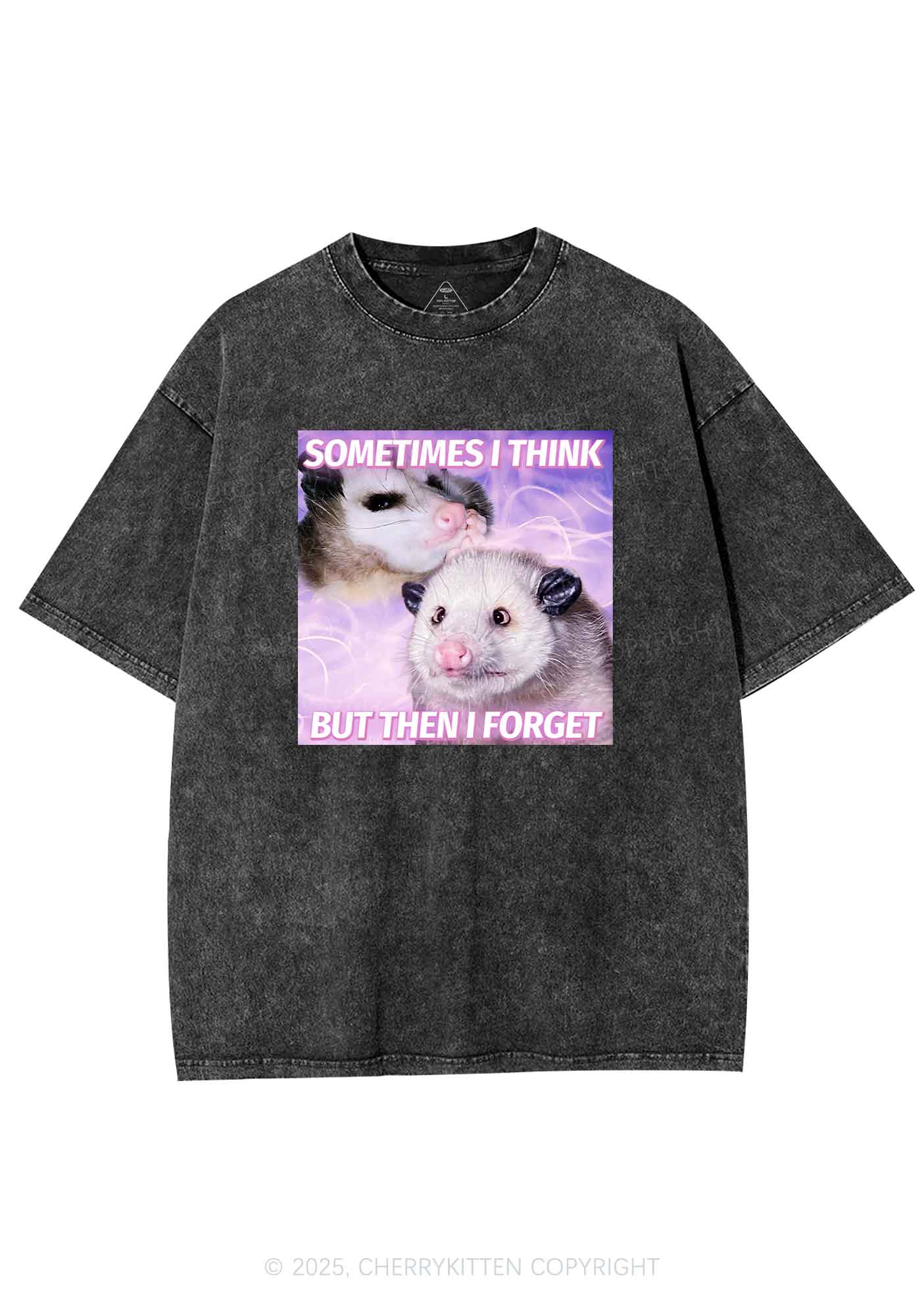 Rats Think Then Forget Y2K Washed Tee Cherrykitten - Image 4