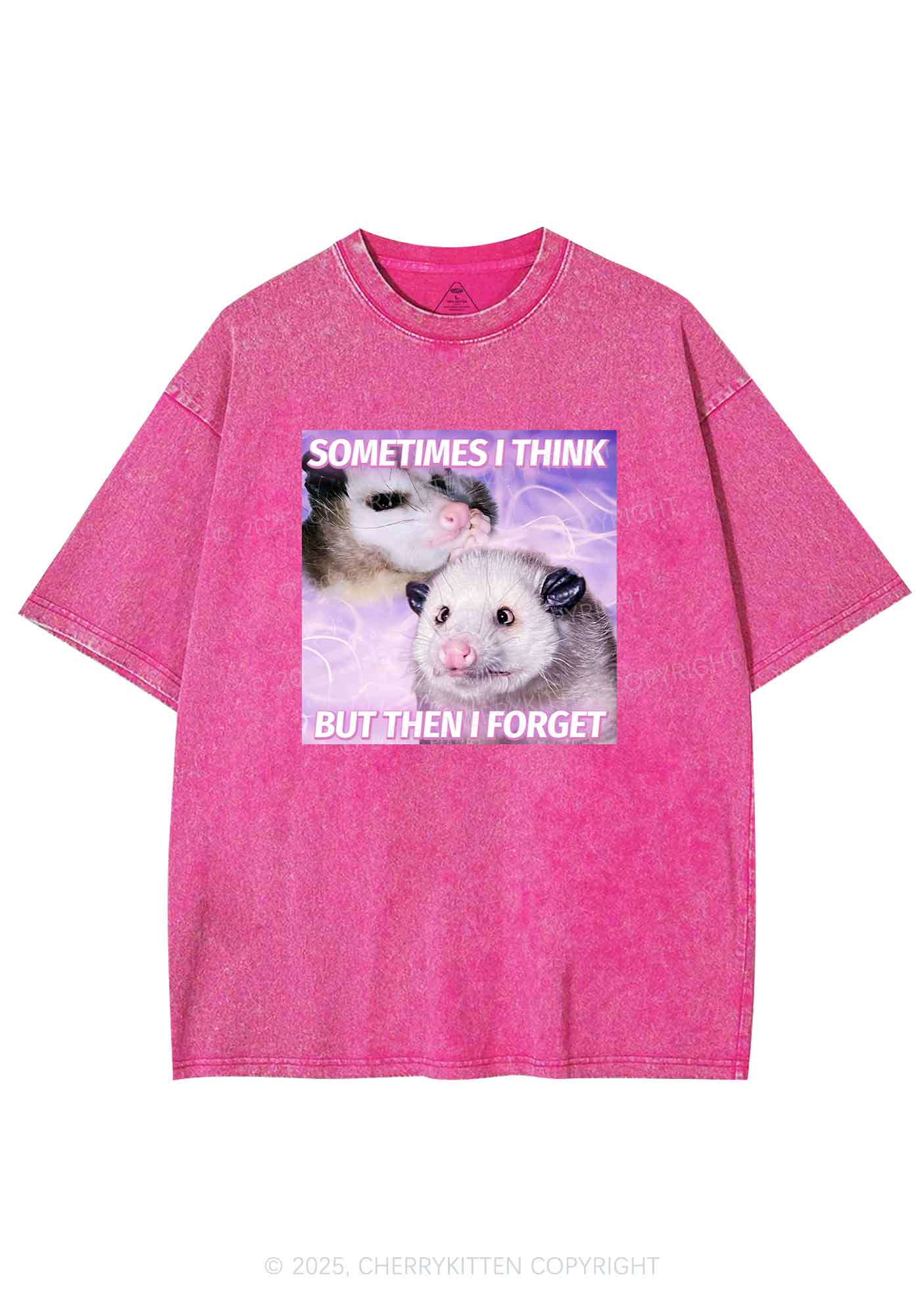 Rats Think Then Forget Y2K Washed Tee Cherrykitten - Image 5