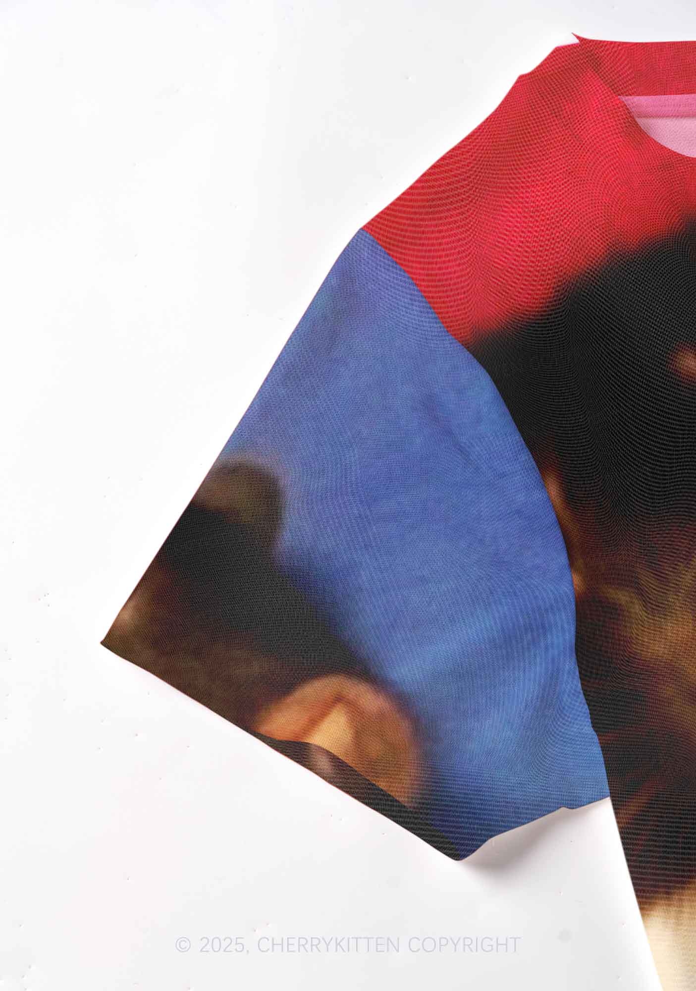 Rats with Doll Y2K Mesh Crop Top Cherrykitten - Image 4