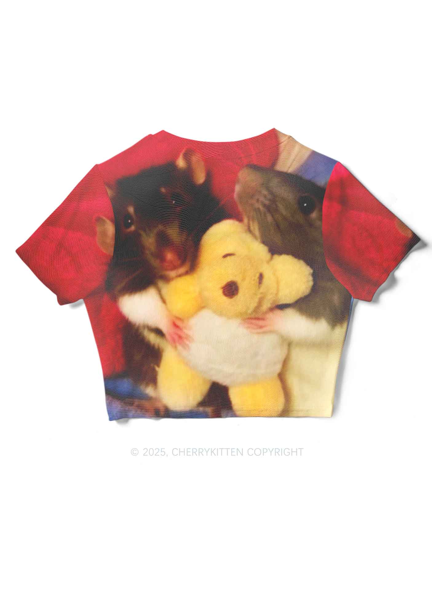 Rats with Doll Y2K Mesh Crop Top Cherrykitten - Image 5