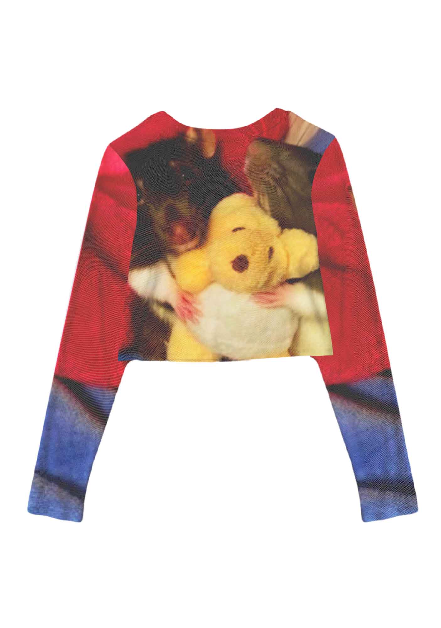 Rats with Doll Y2K Mesh Long Sleeve Crop Top Cherrykitten - Image 3