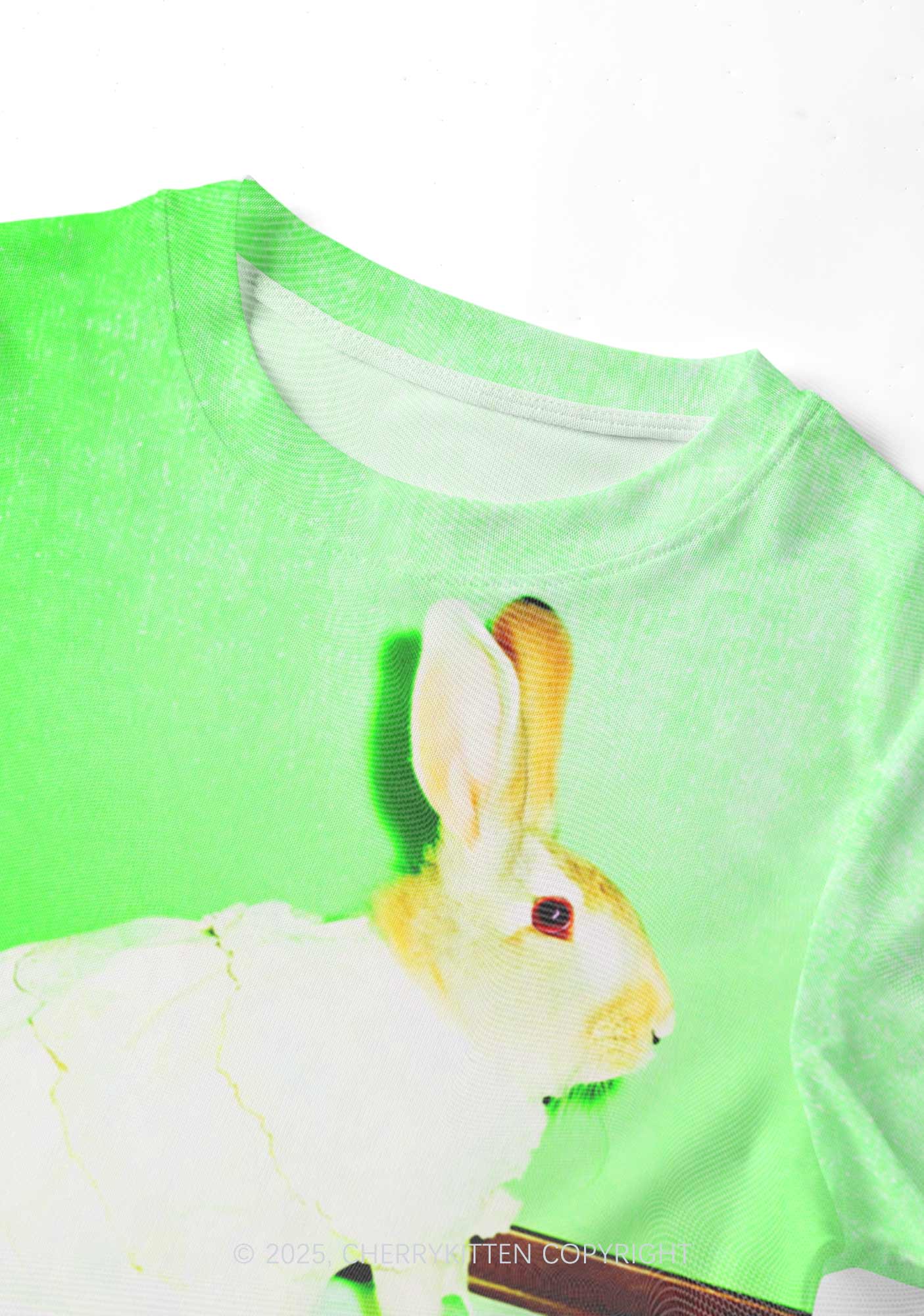 Red Eyed Rabbit Y2K Mesh Crop Top Cherrykitten - Image 3
