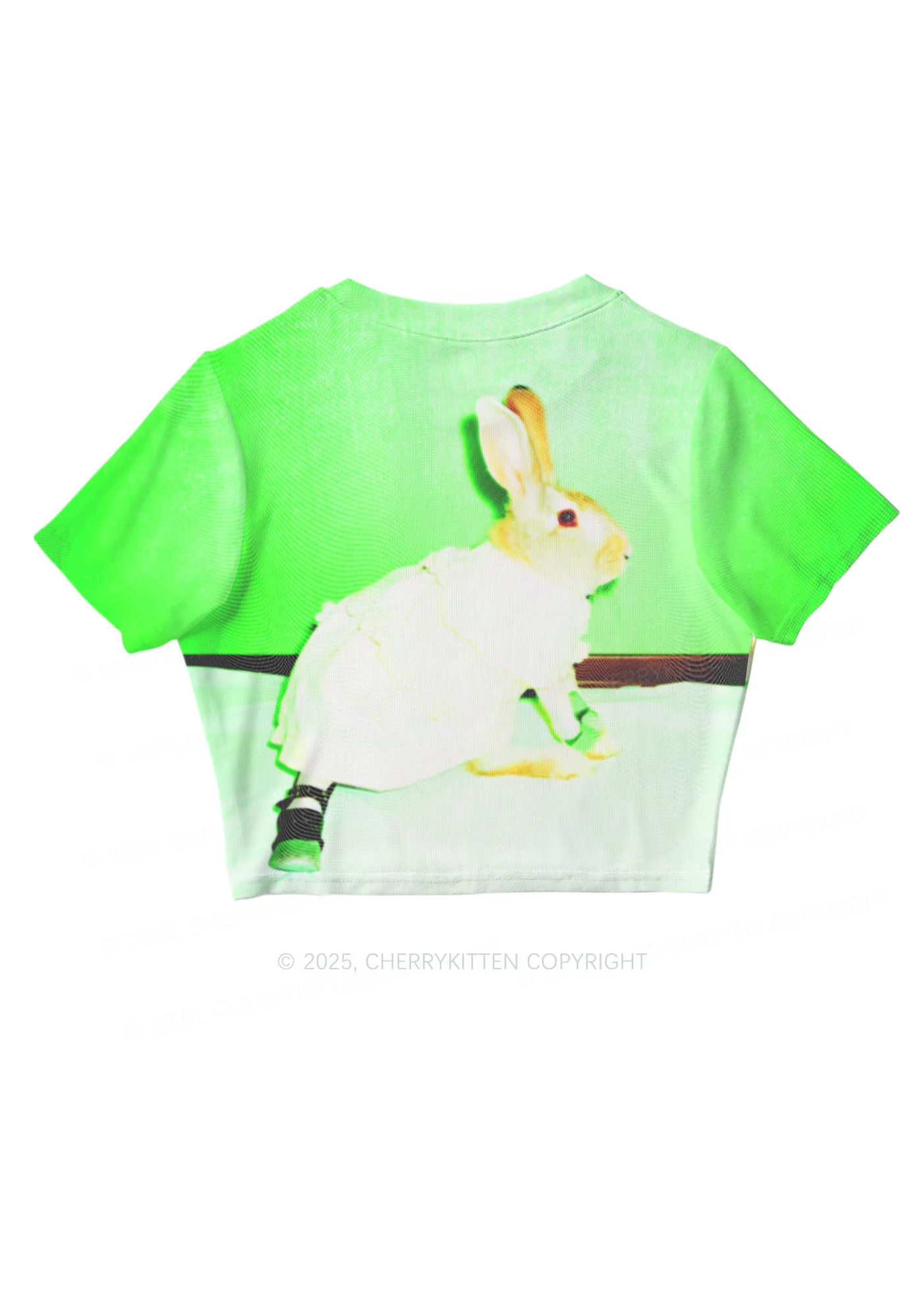 Red Eyed Rabbit Y2K Mesh Crop Top Cherrykitten - Image 5