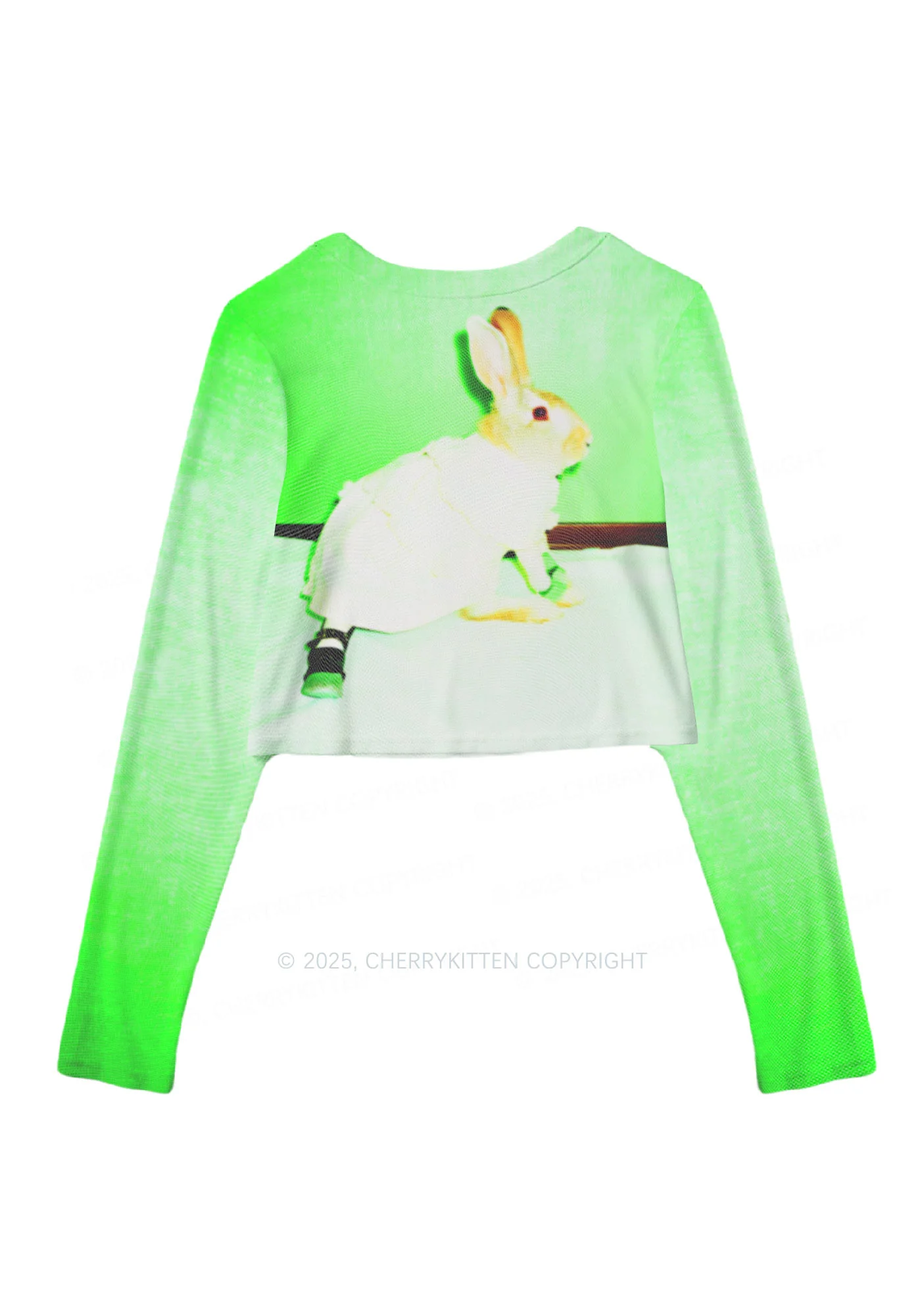 Red Eyed Rabbit Y2K Mesh Long Sleeve Crop Top Cherrykitten - Image 3