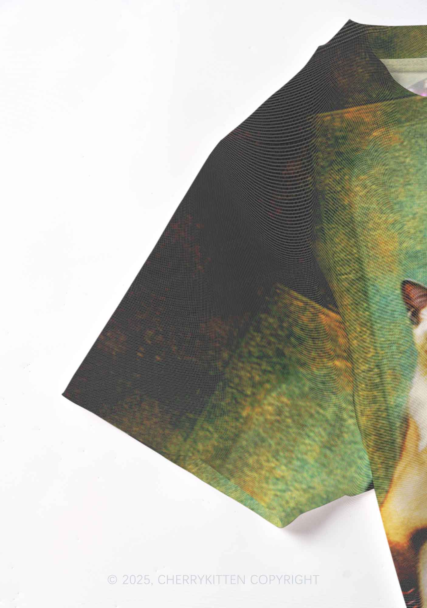 Renaissance Lady With Cat Y2K Mesh Crop Top Cherrykitten - Image 4