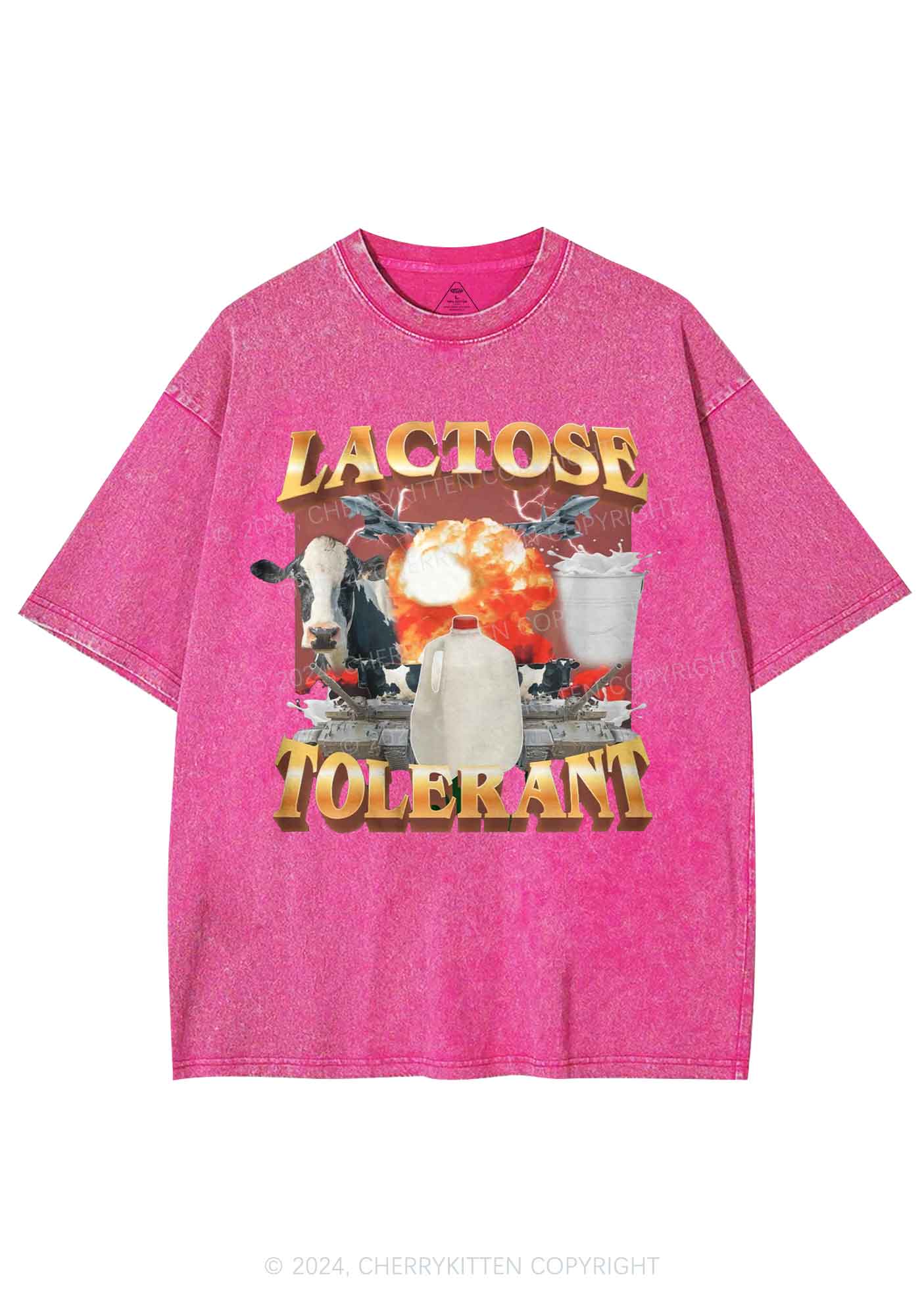 Retro Milk Lactose Tolerant Y2K Washed Tee Cherrykitten - Image 4
