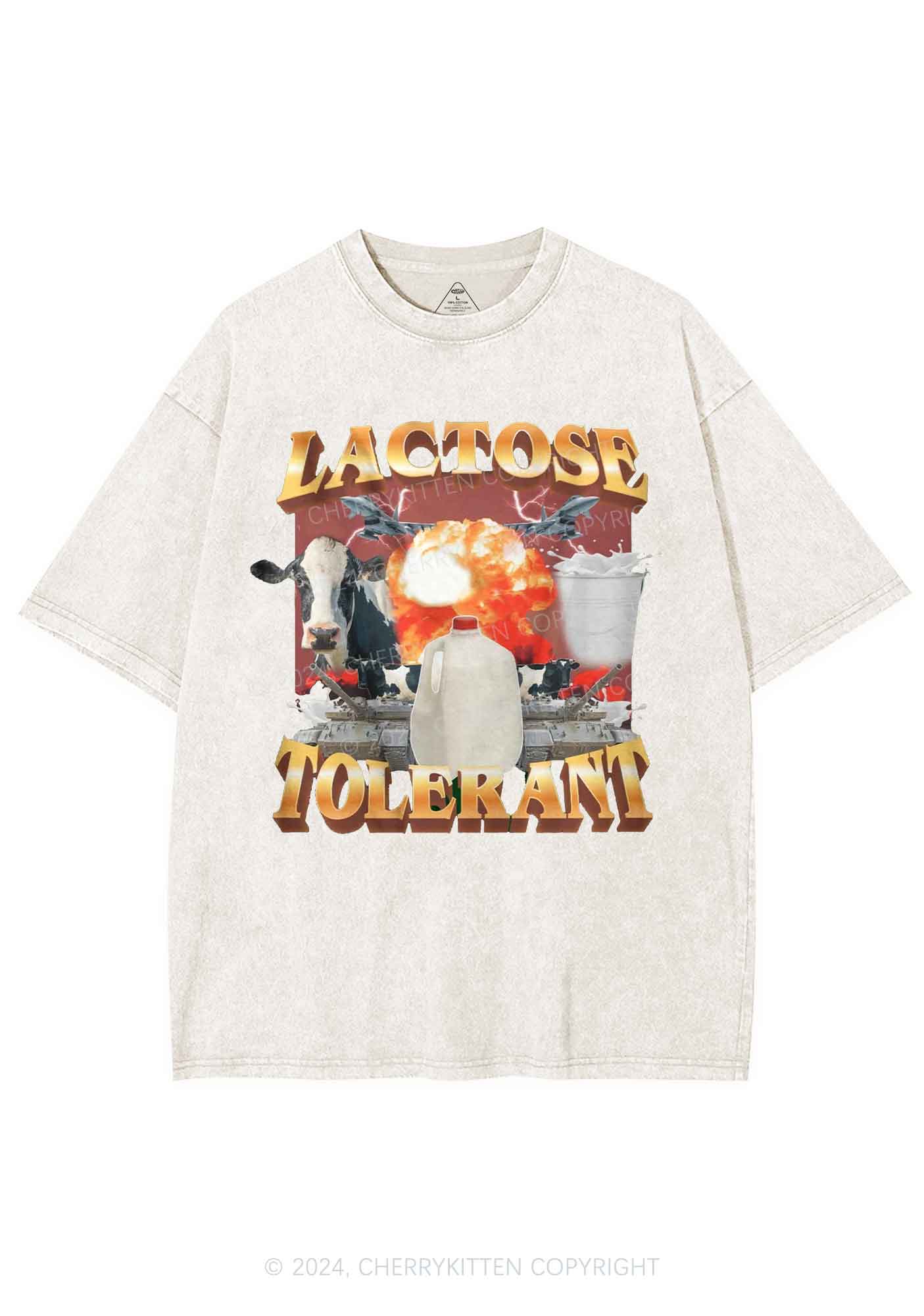 Retro Milk Lactose Tolerant Y2K Washed Tee Cherrykitten - Image 5