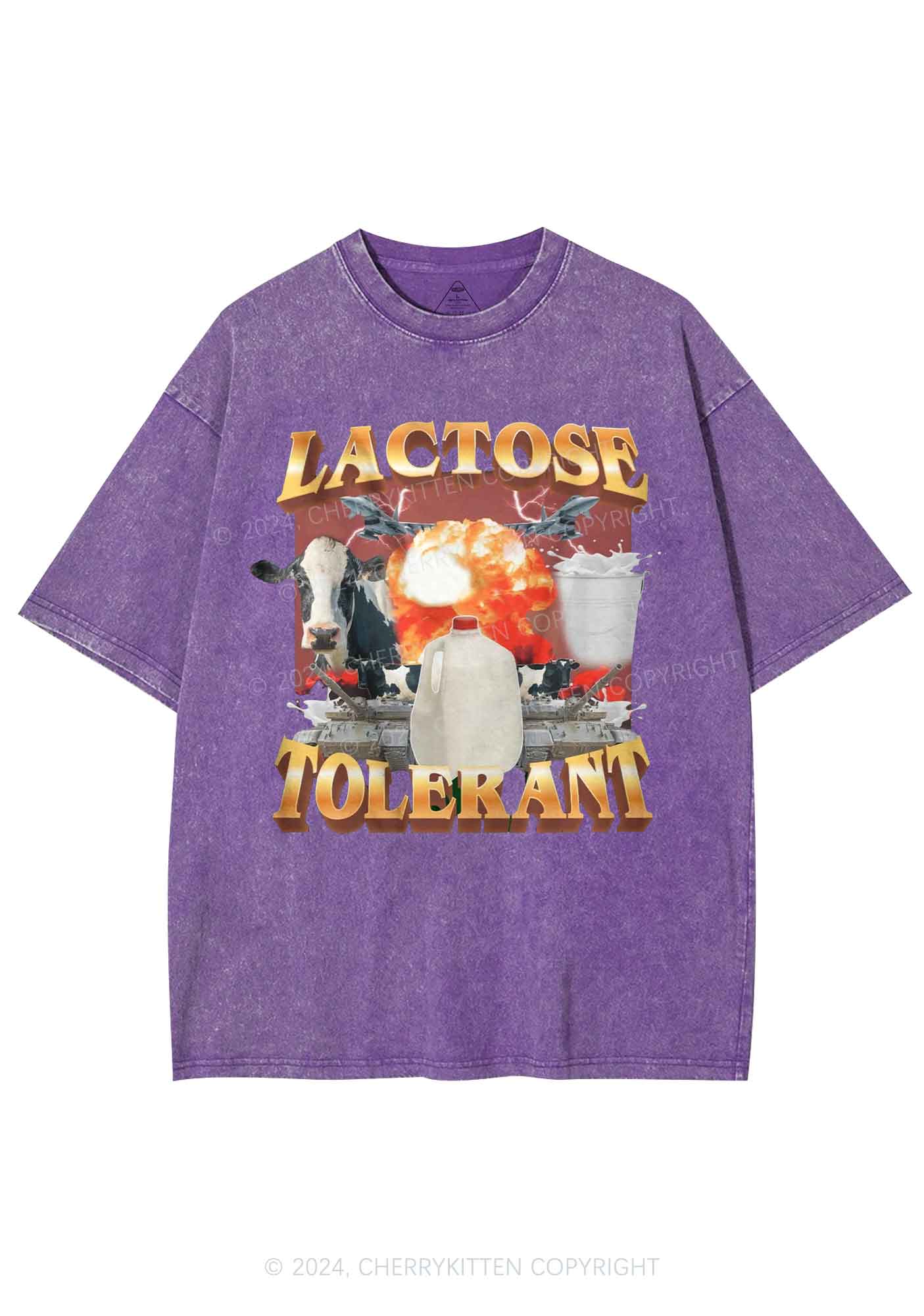 Retro Milk Lactose Tolerant Y2K Washed Tee Cherrykitten - Image 6
