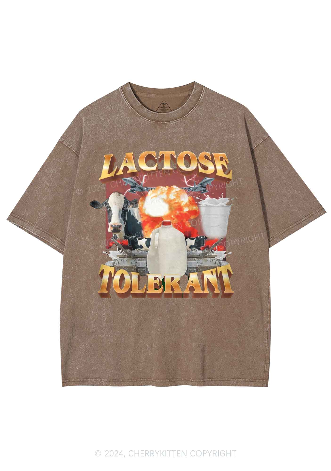 Retro Milk Lactose Tolerant Y2K Washed Tee Cherrykitten - Image 7