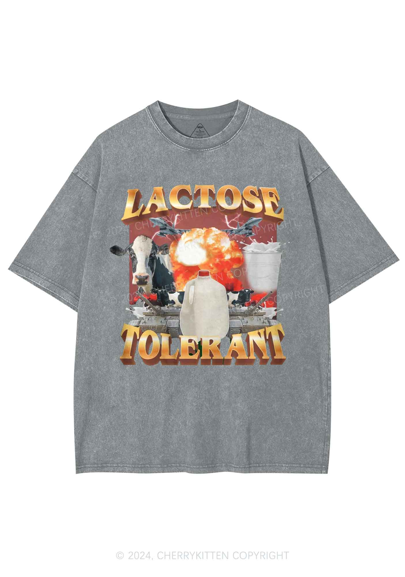 Retro Milk Lactose Tolerant Y2K Washed Tee Cherrykitten - Image 8