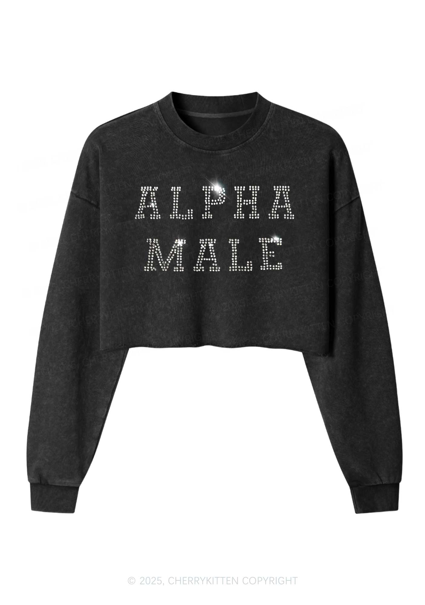 Rhinestone Alpha Male Y2K Crop Washed Sweatshirts Cherrykitten - Image 2