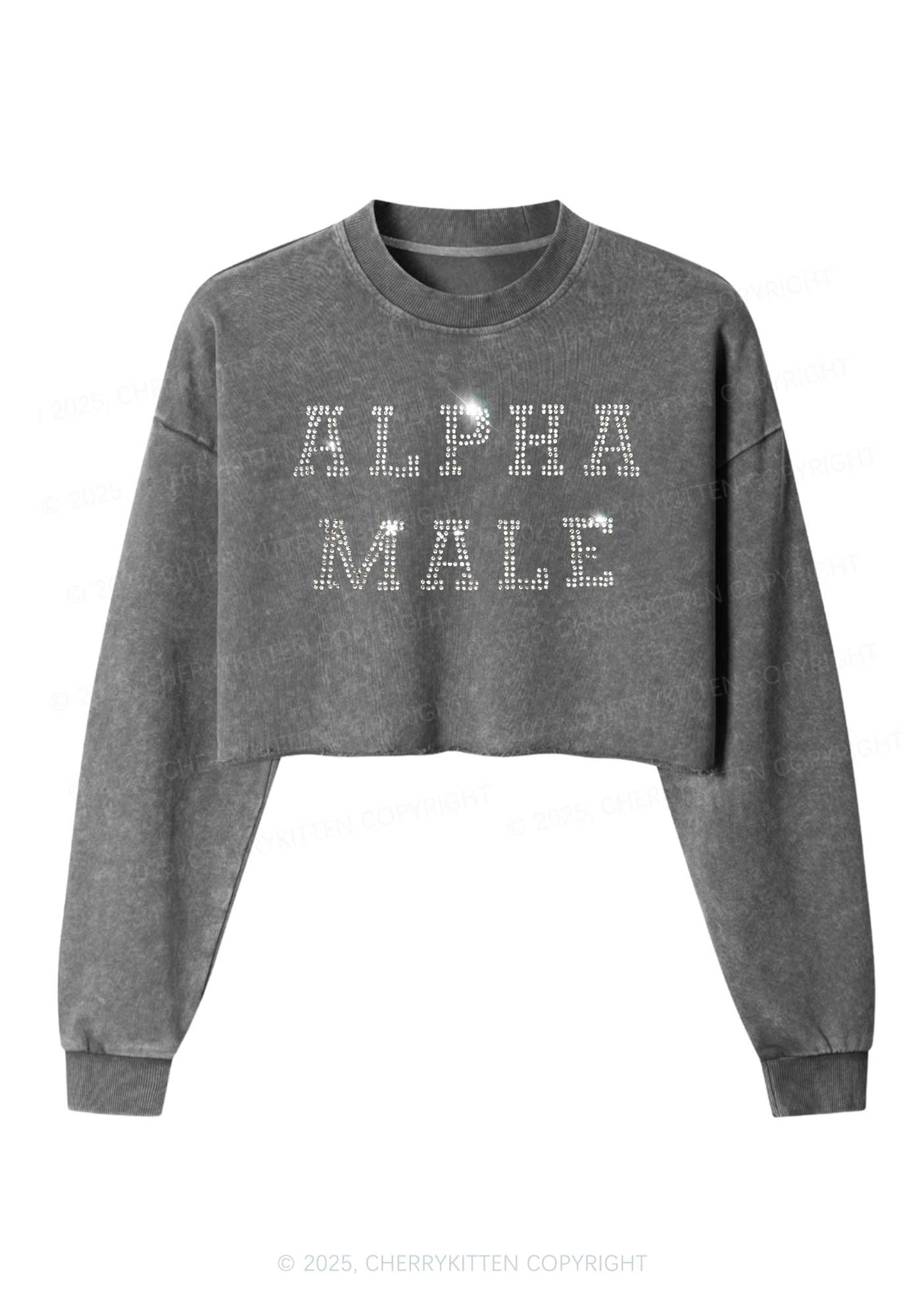 Rhinestone Alpha Male Y2K Crop Washed Sweatshirts Cherrykitten - Image 3