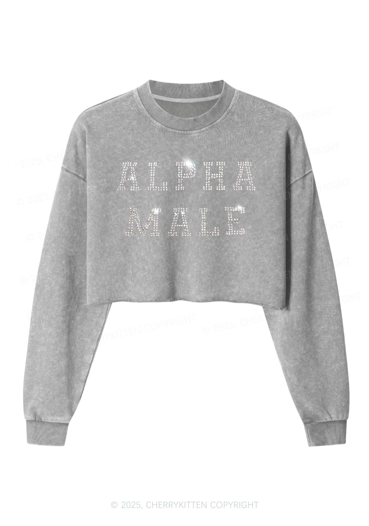 Rhinestone Alpha Male Y2K Crop Washed Sweatshirts Cherrykitten - Image 5